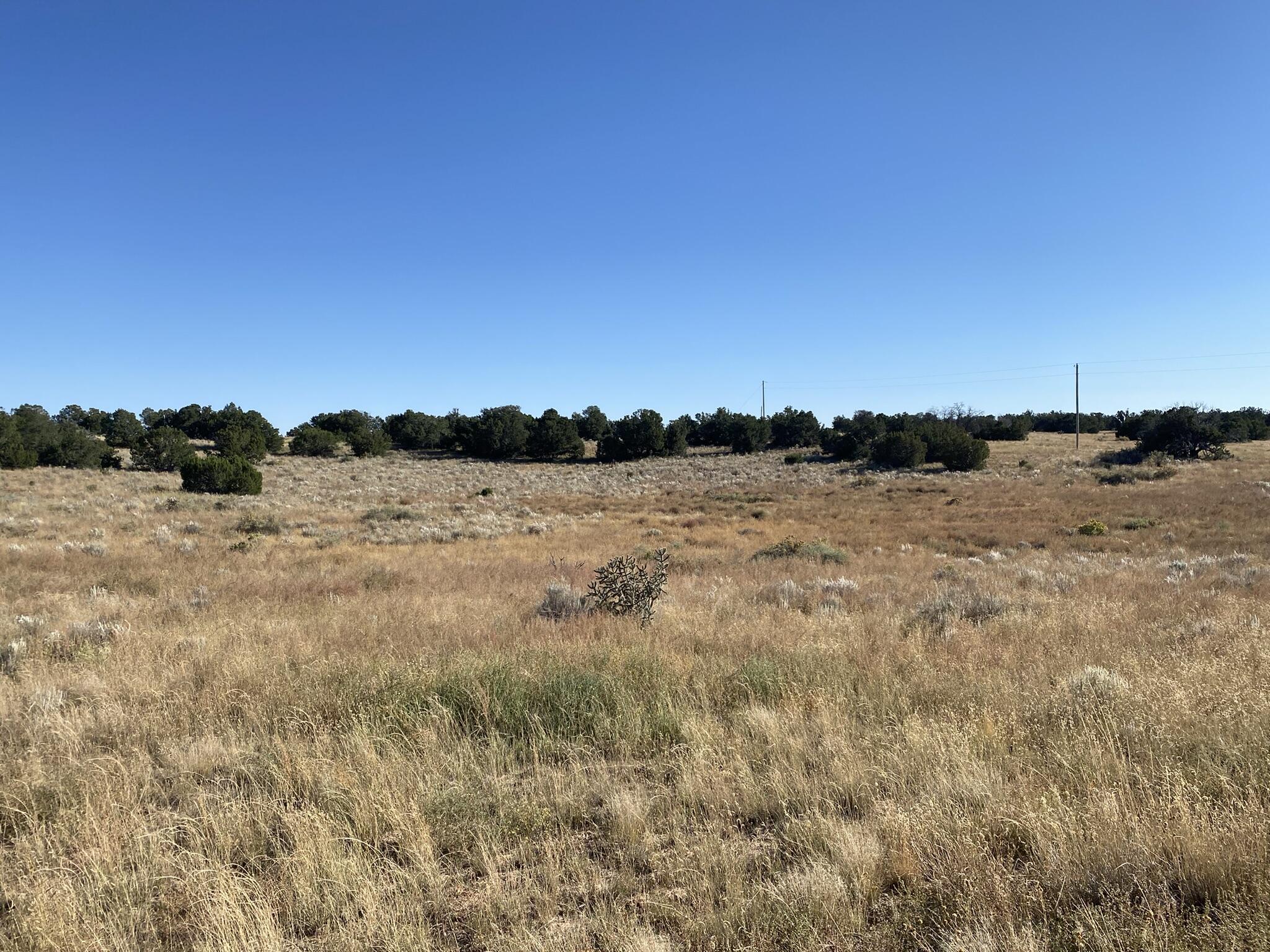 Painted Horse Drive, Mountainair, New Mexico image 8