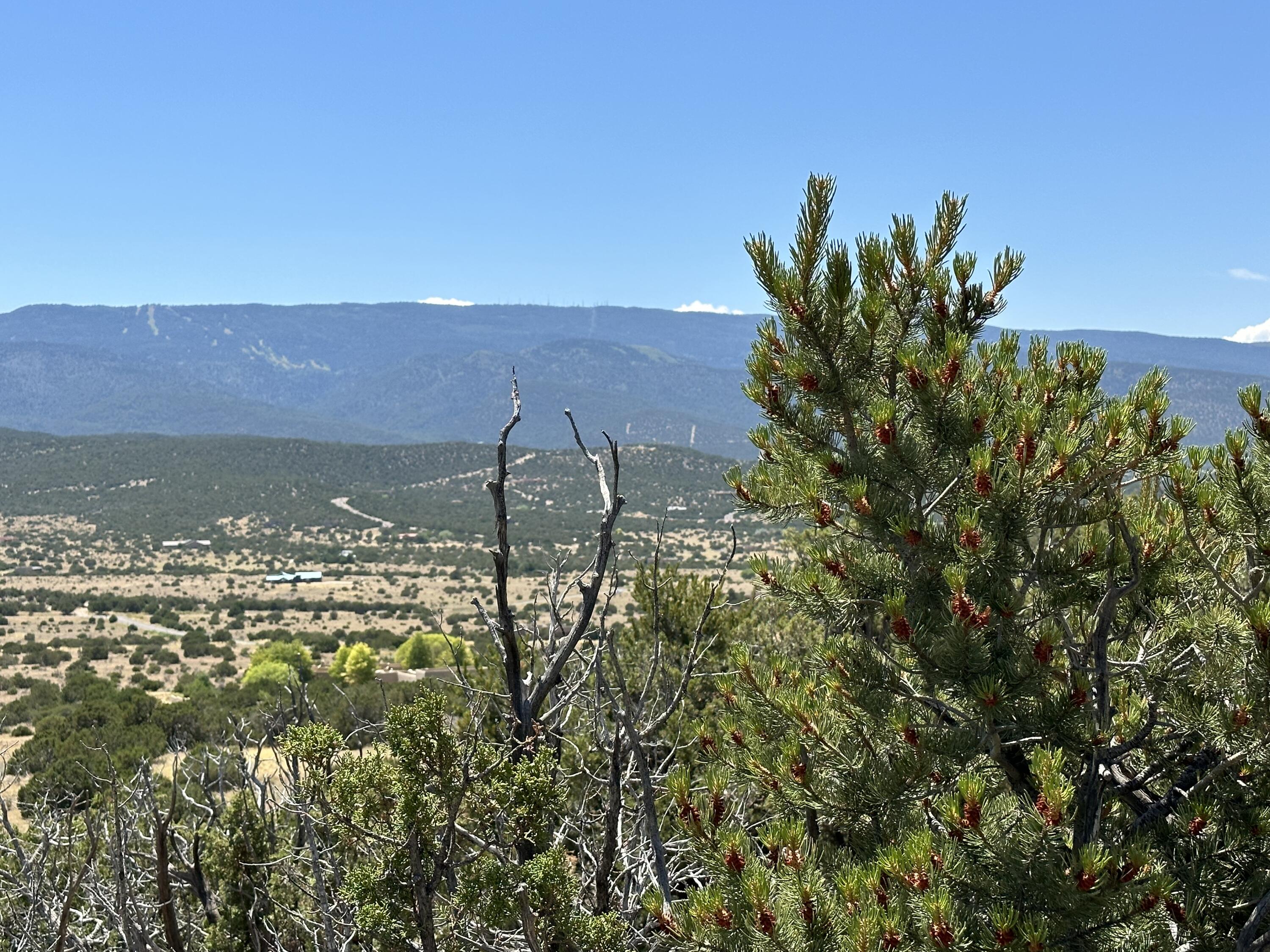 24 La Cantera, Sandia Park, New Mexico image 16