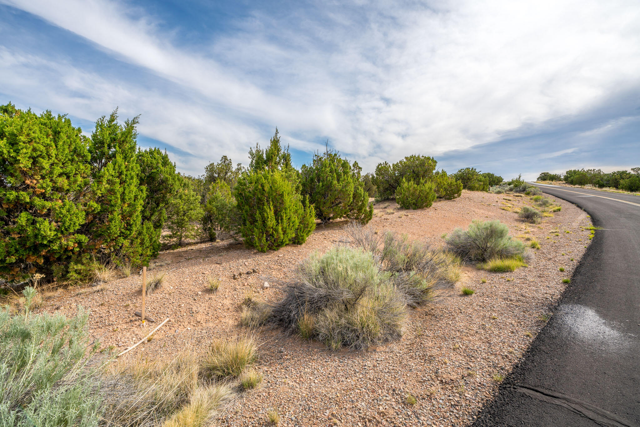 25 Stage Coach Trail, Sandia Park, New Mexico image 5