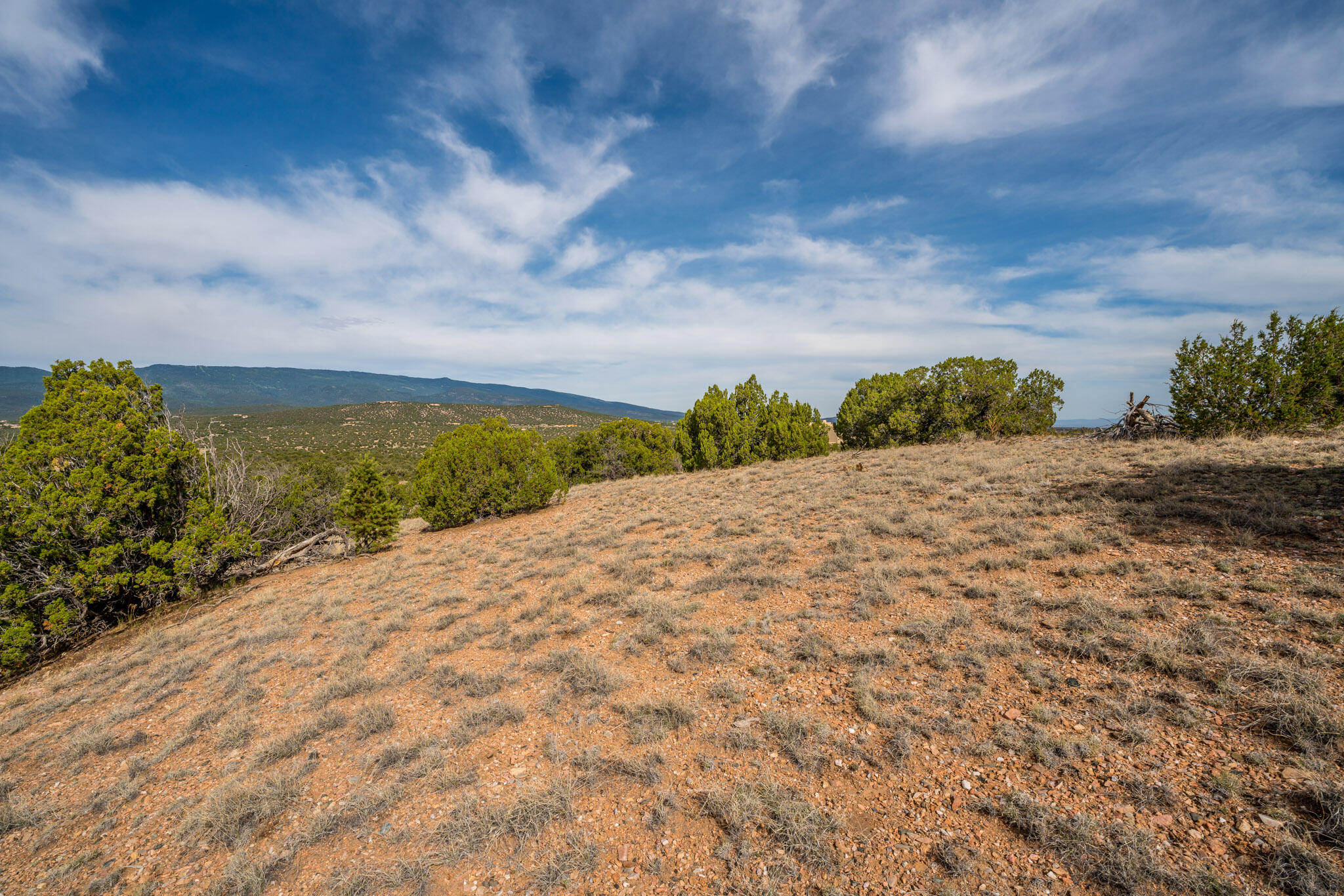 25 Stage Coach Trail, Sandia Park, New Mexico image 12