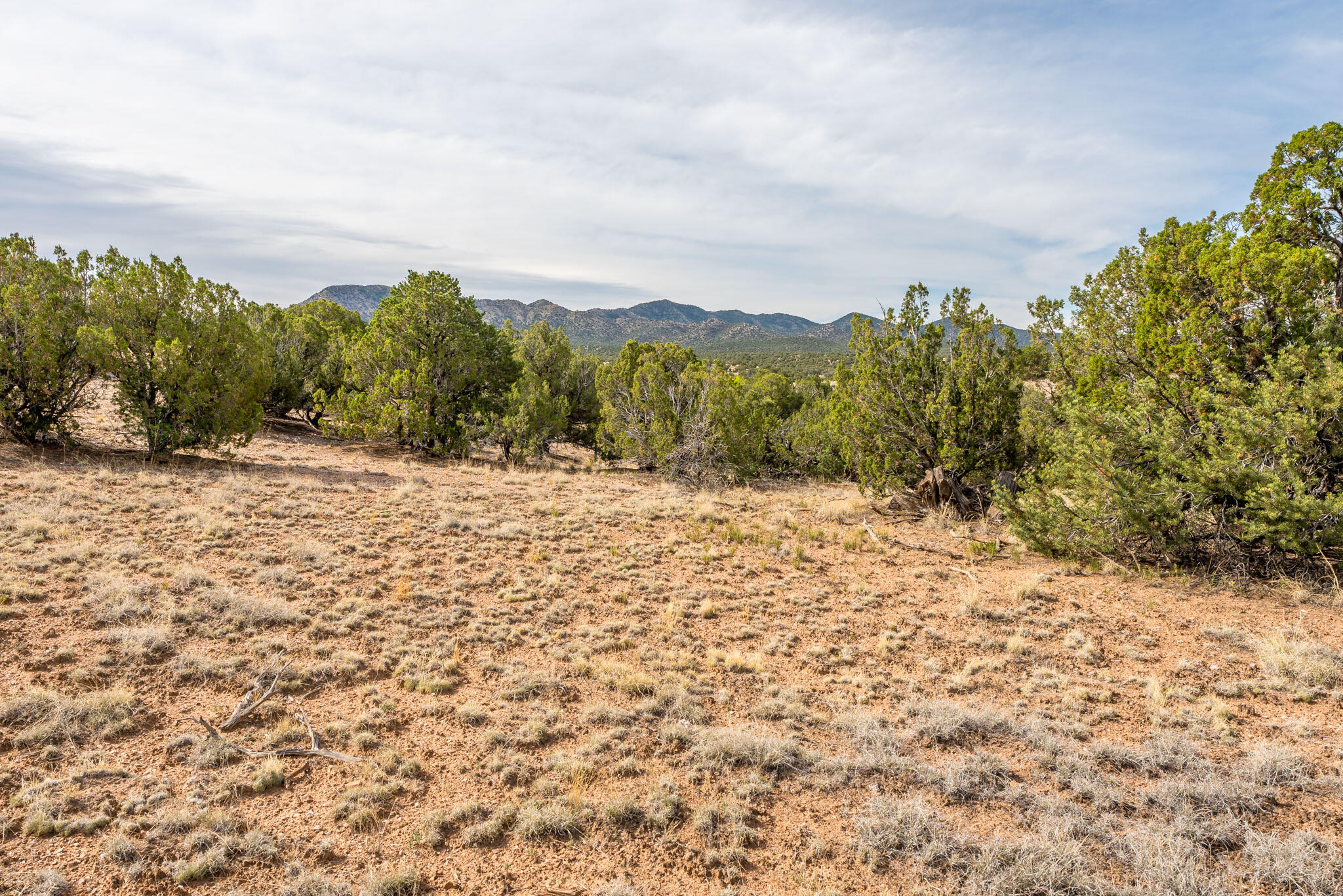 25 Stage Coach Trail, Sandia Park, New Mexico image 10