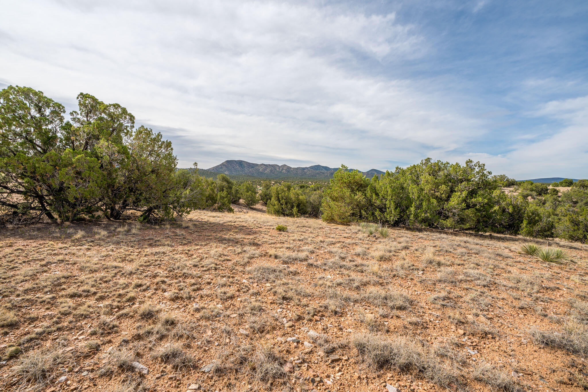 25 Stage Coach Trail, Sandia Park, New Mexico image 7