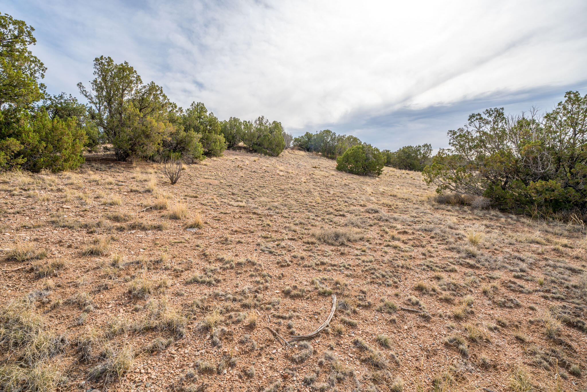 25 Stage Coach Trail, Sandia Park, New Mexico image 6