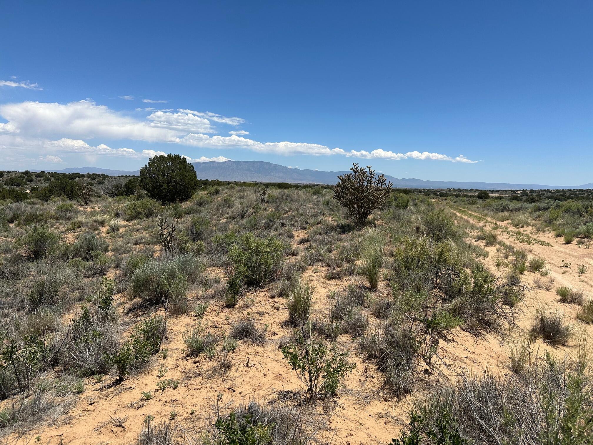 Hermosilla Road, Rio Rancho, New Mexico image 1