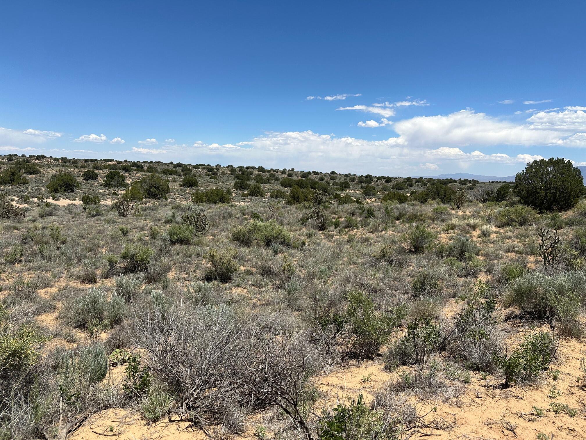 Hermosilla Road, Rio Rancho, New Mexico image 4