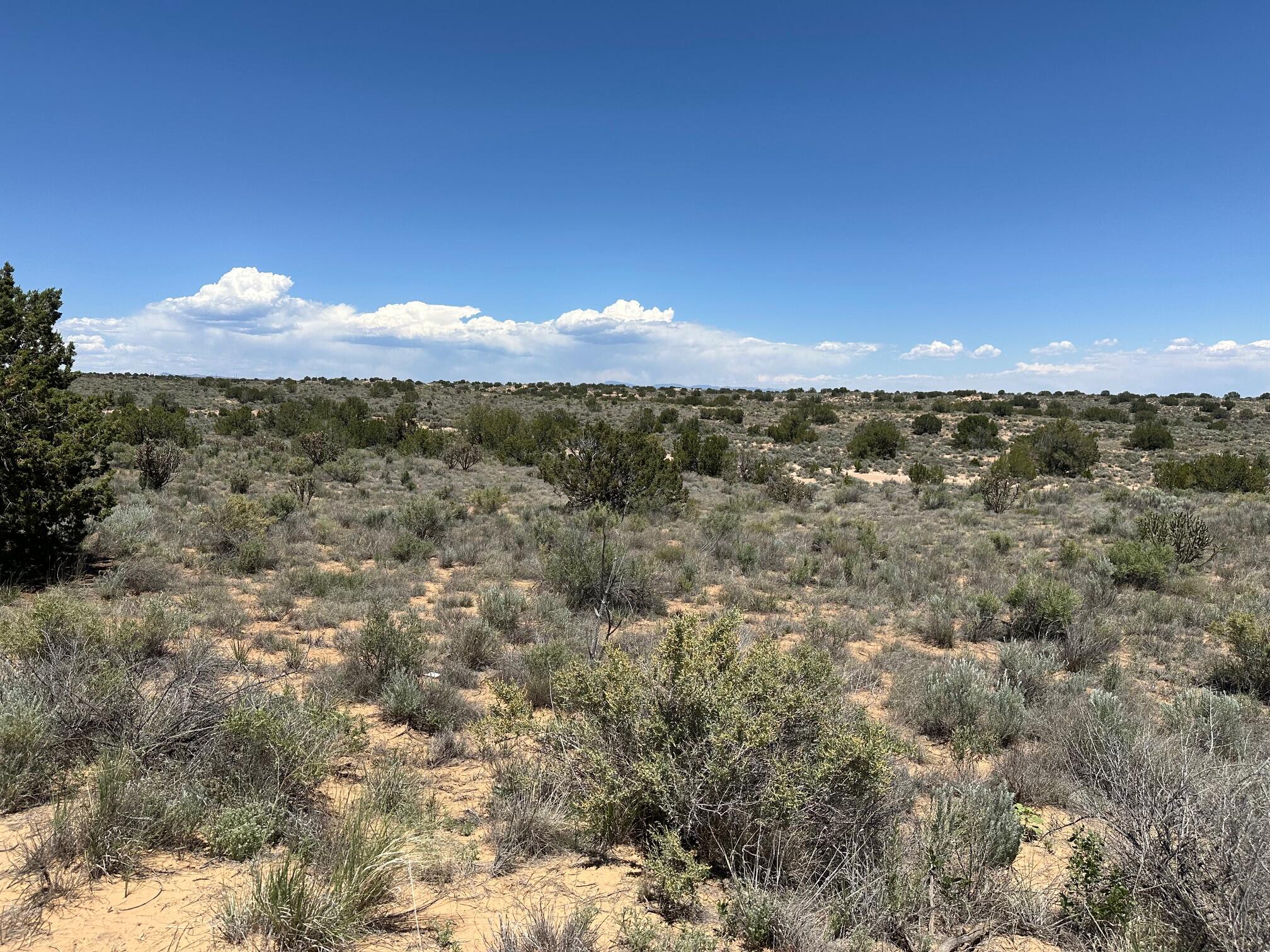 Hermosilla Road, Rio Rancho, New Mexico image 3