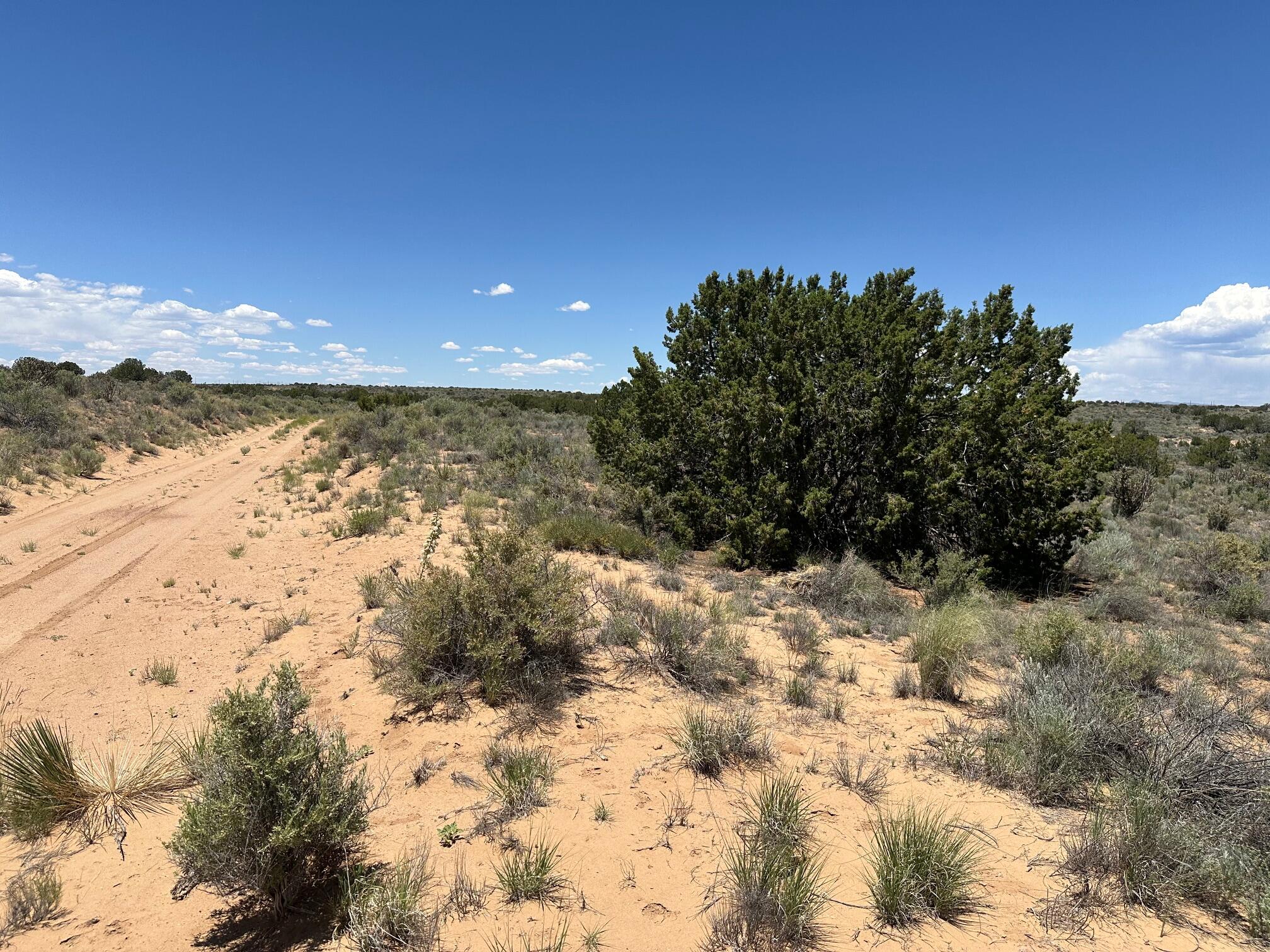 Hermosilla Road, Rio Rancho, New Mexico image 2
