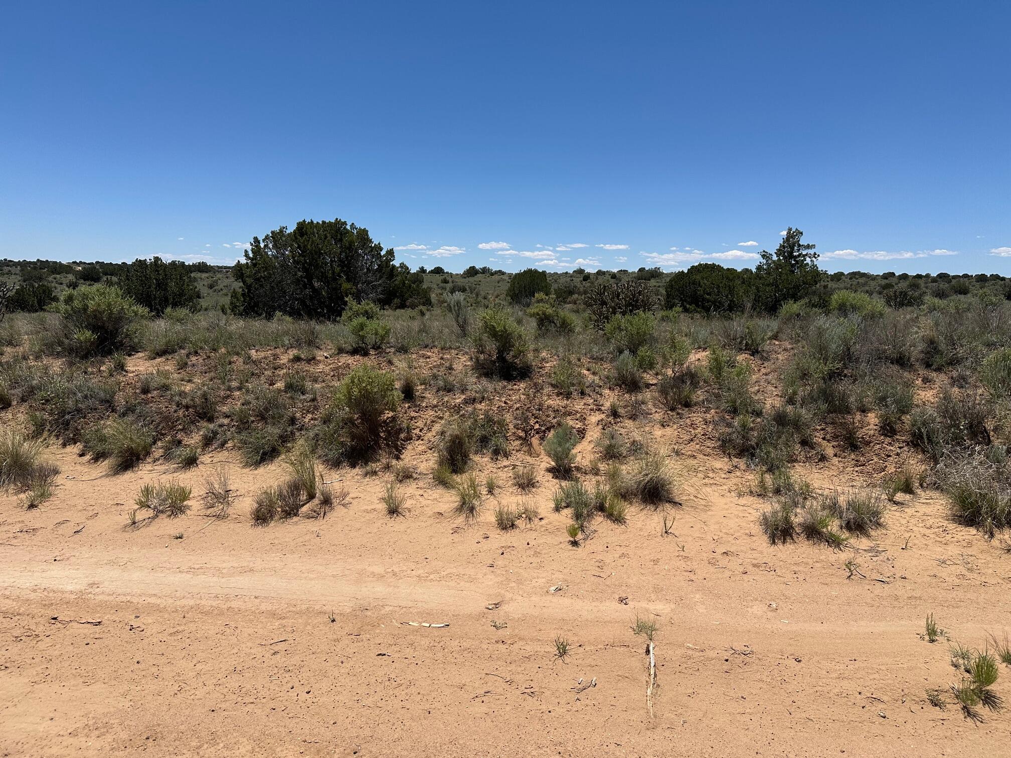 Hermosilla Road, Rio Rancho, New Mexico image 5