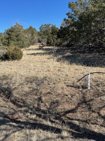 1 Straughan Court, Sandia Park, New Mexico image 1