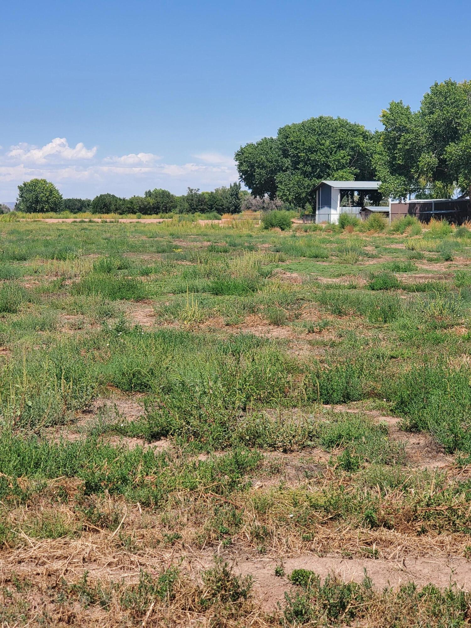 Flora D Court, Bosque, New Mexico image 4