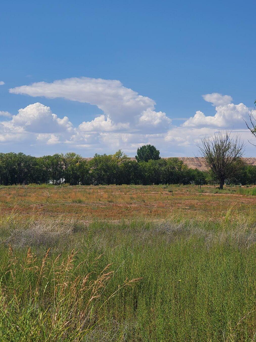 Flora D Court, Bosque, New Mexico image 3