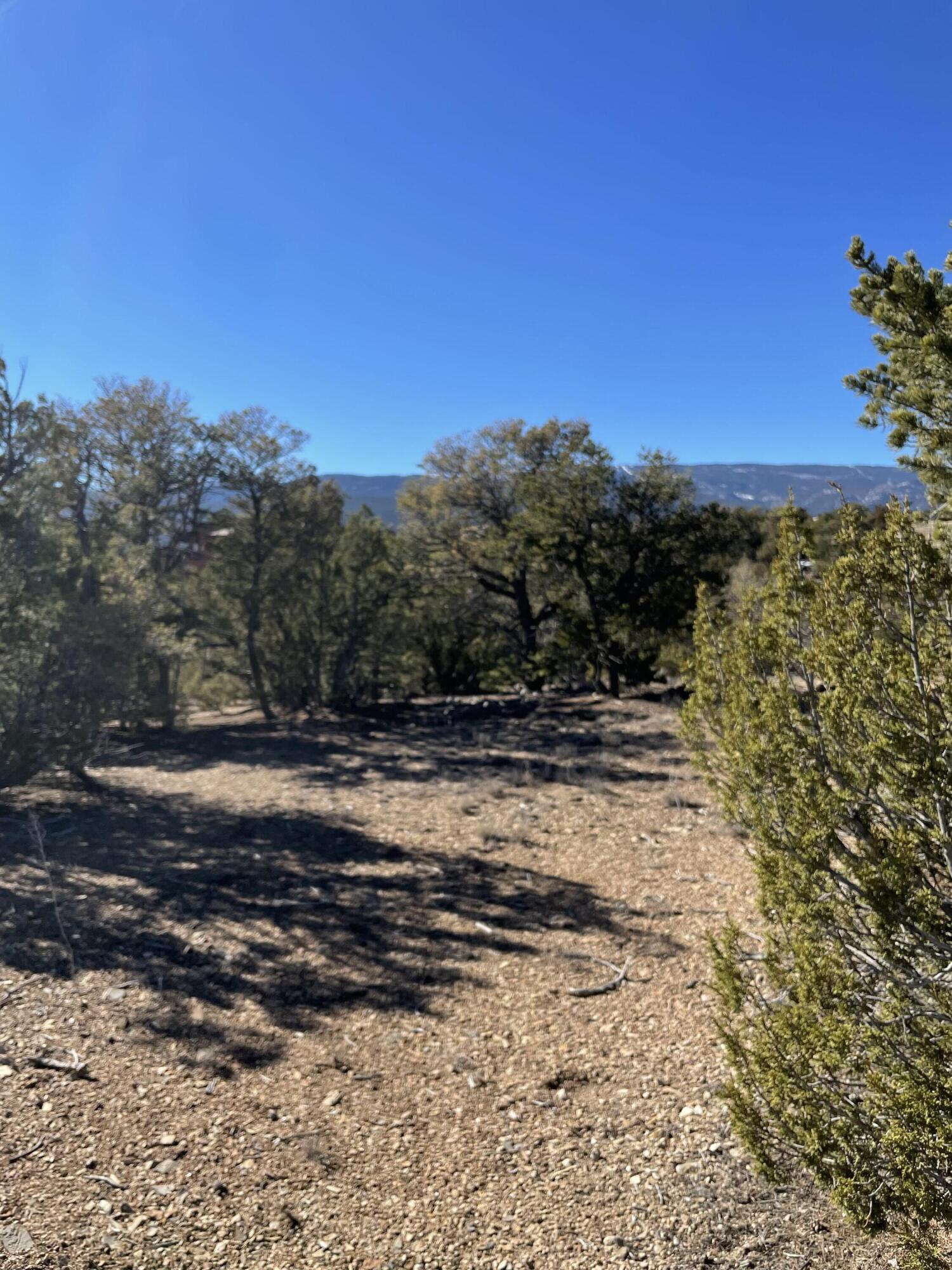 71 Raindance Road, Sandia Park, New Mexico image 14