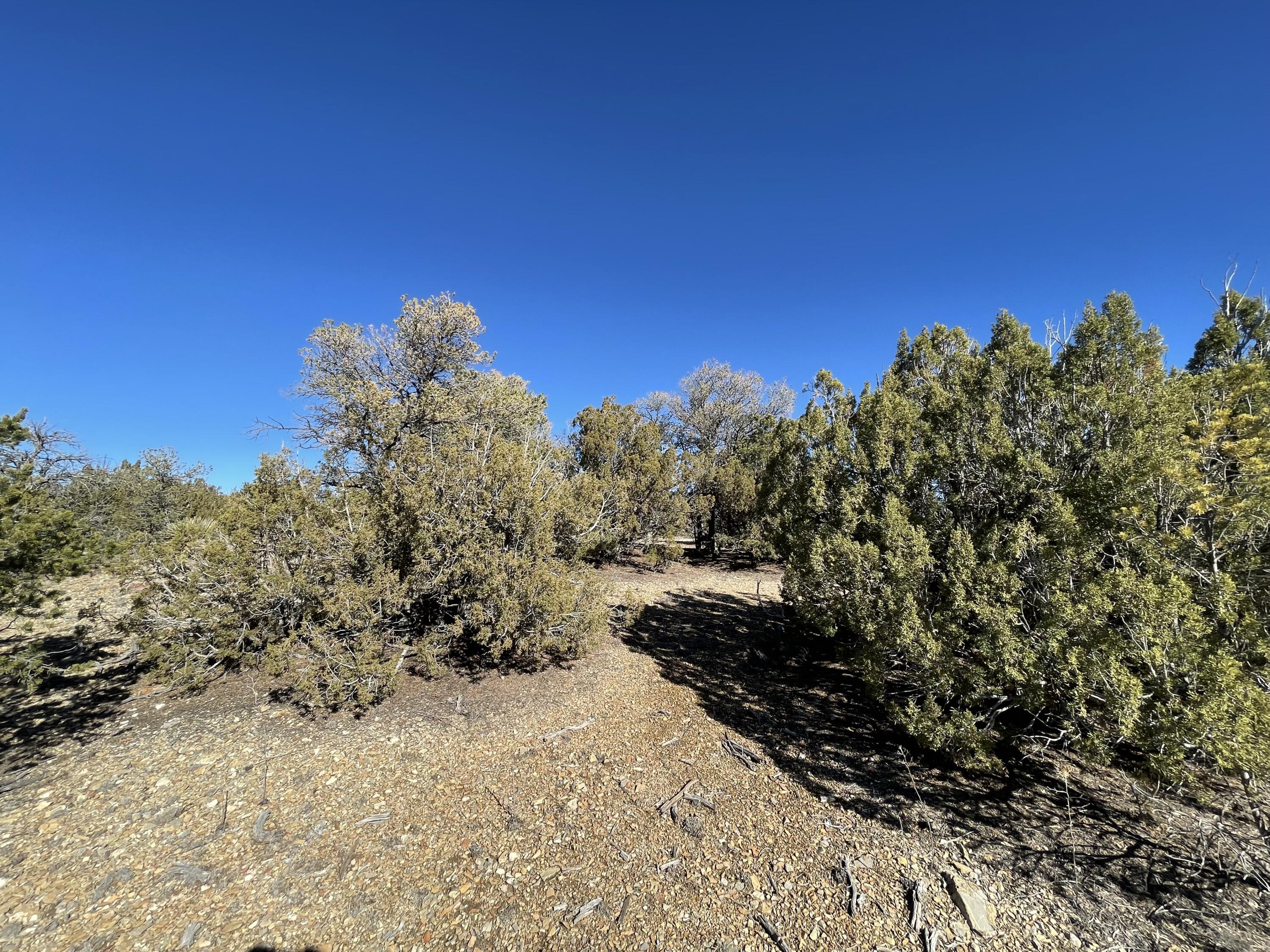 71 Raindance Road, Sandia Park, New Mexico image 11