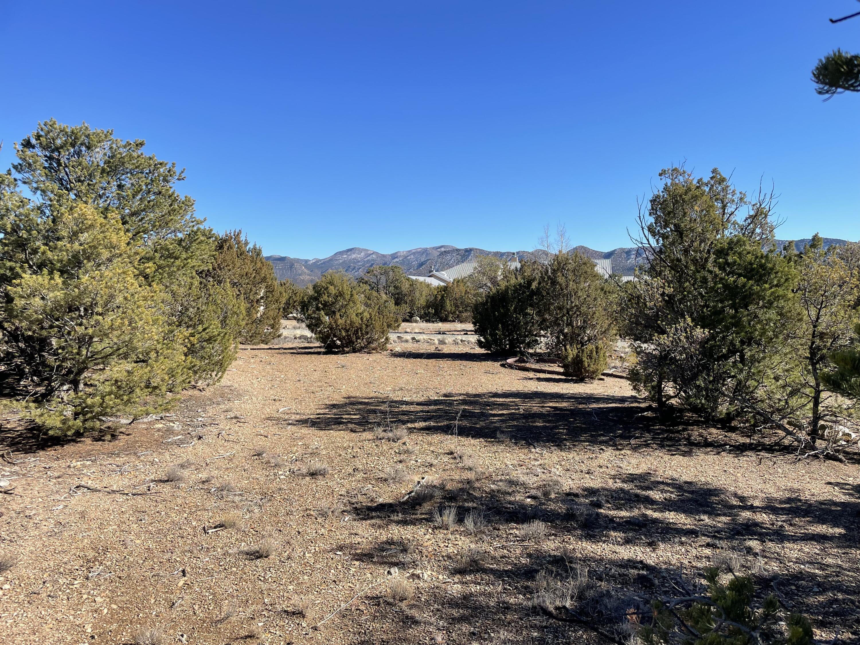 71 Raindance Road, Sandia Park, New Mexico image 10