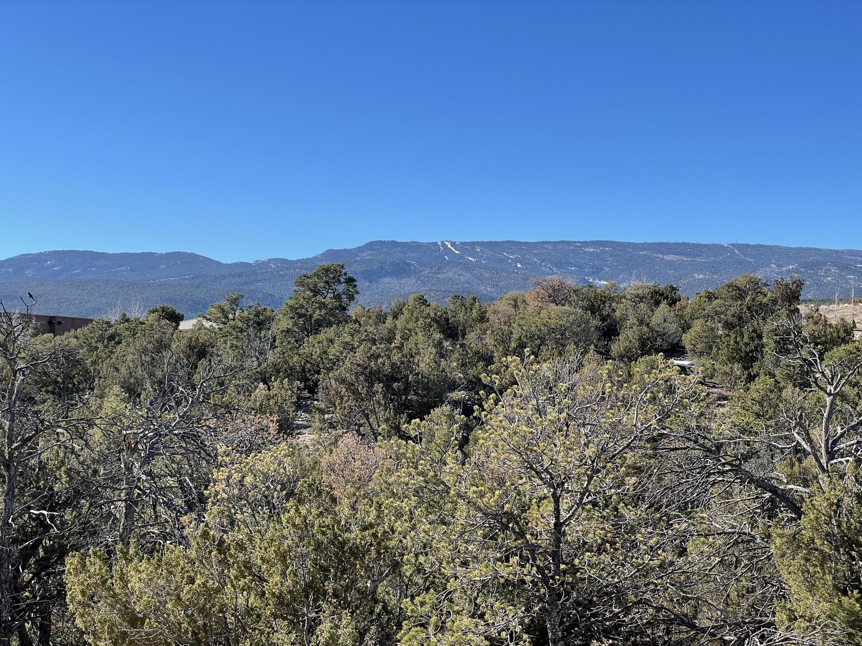 71 Raindance Road, Sandia Park, New Mexico image 8