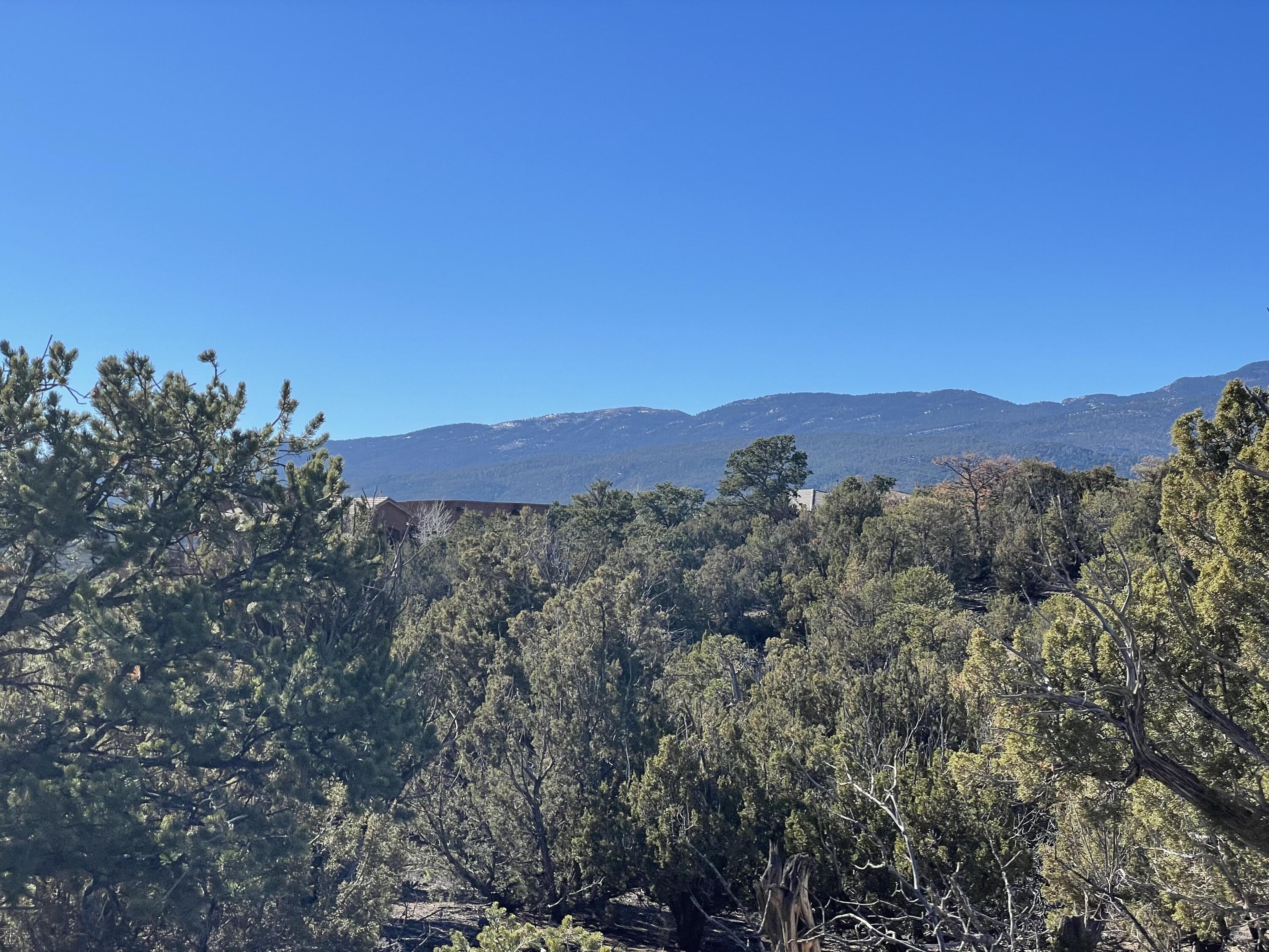 71 Raindance Road, Sandia Park, New Mexico image 4