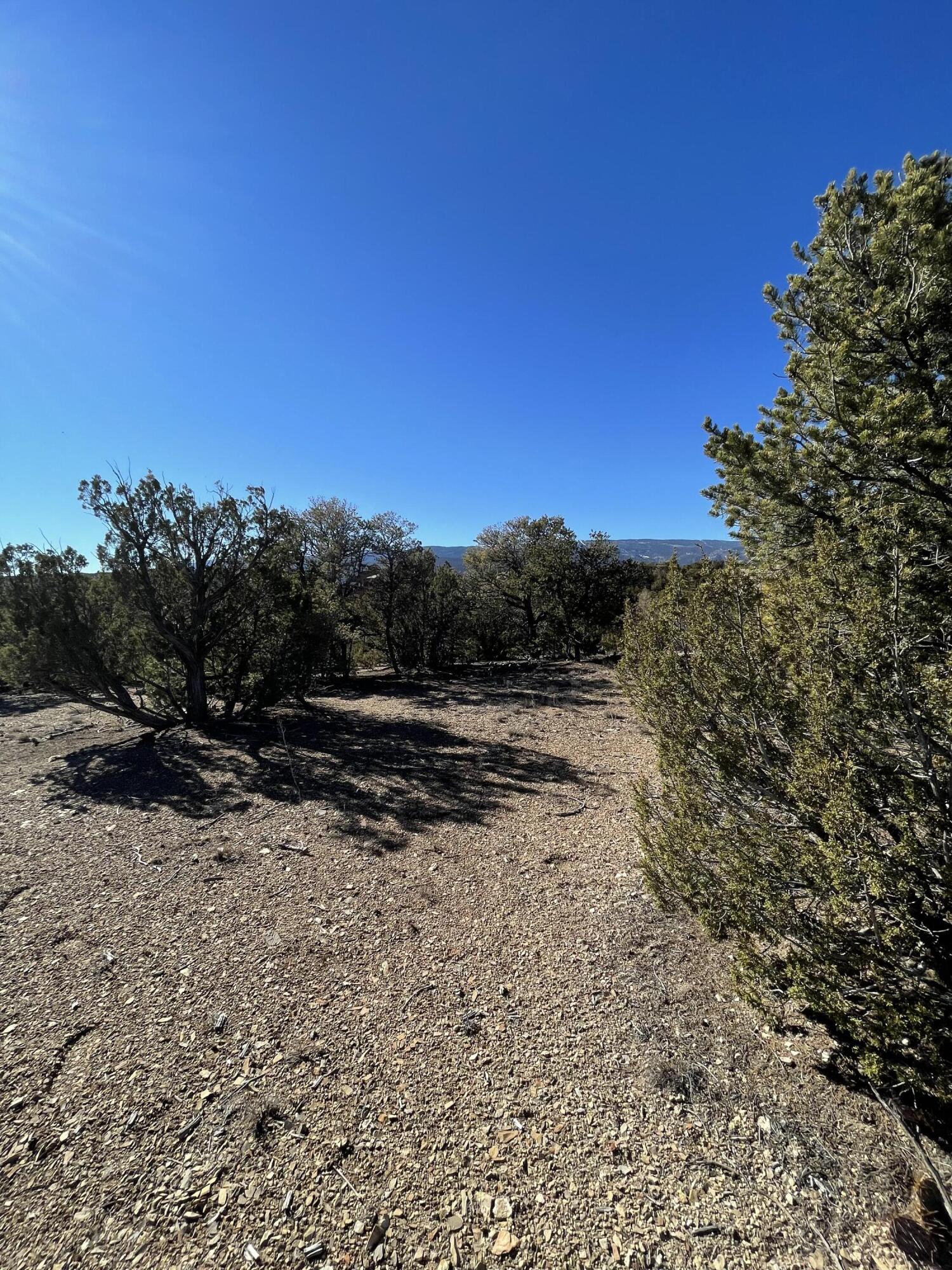 71 Raindance Road, Sandia Park, New Mexico image 15