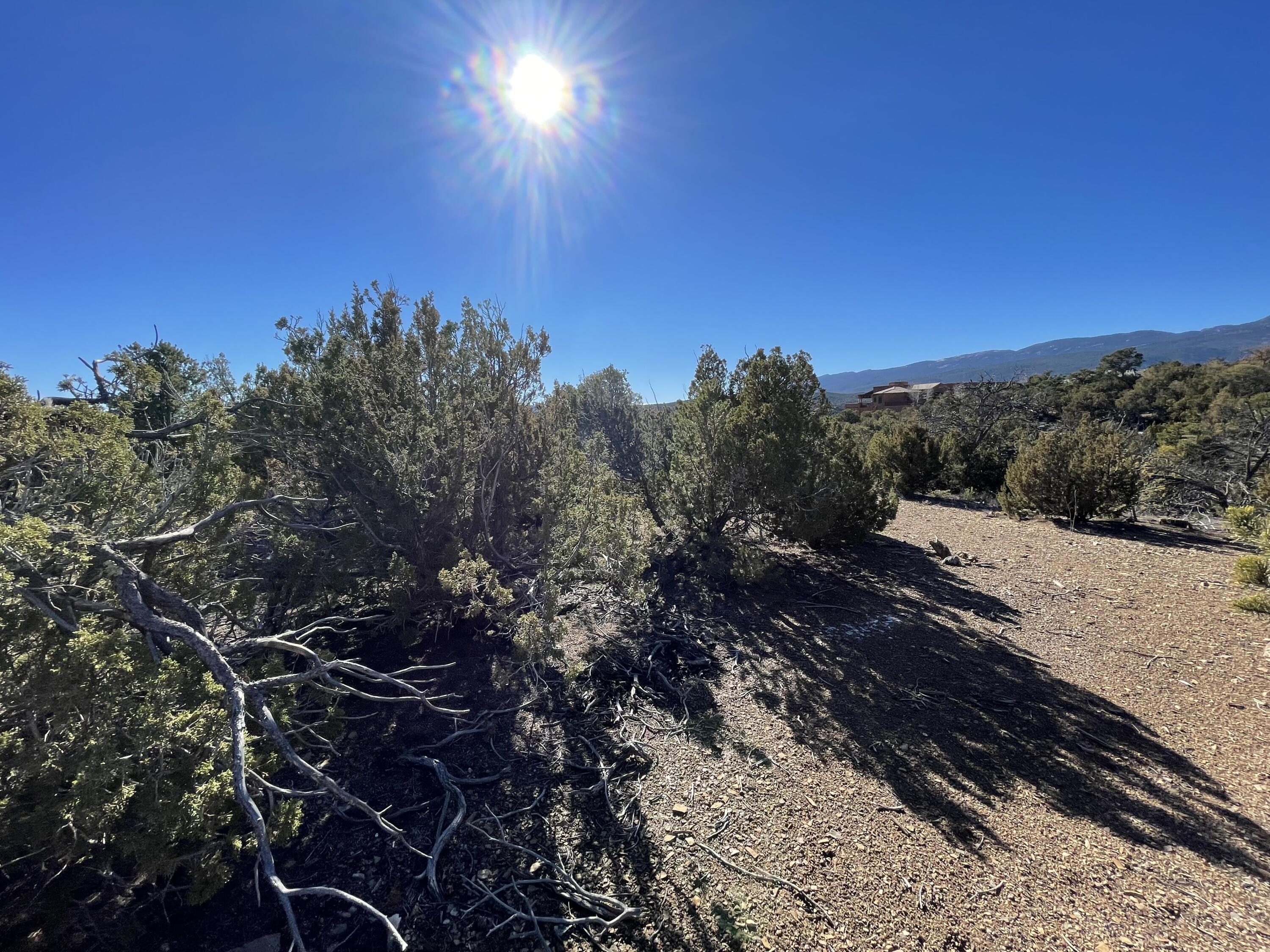 71 Raindance Road, Sandia Park, New Mexico image 5