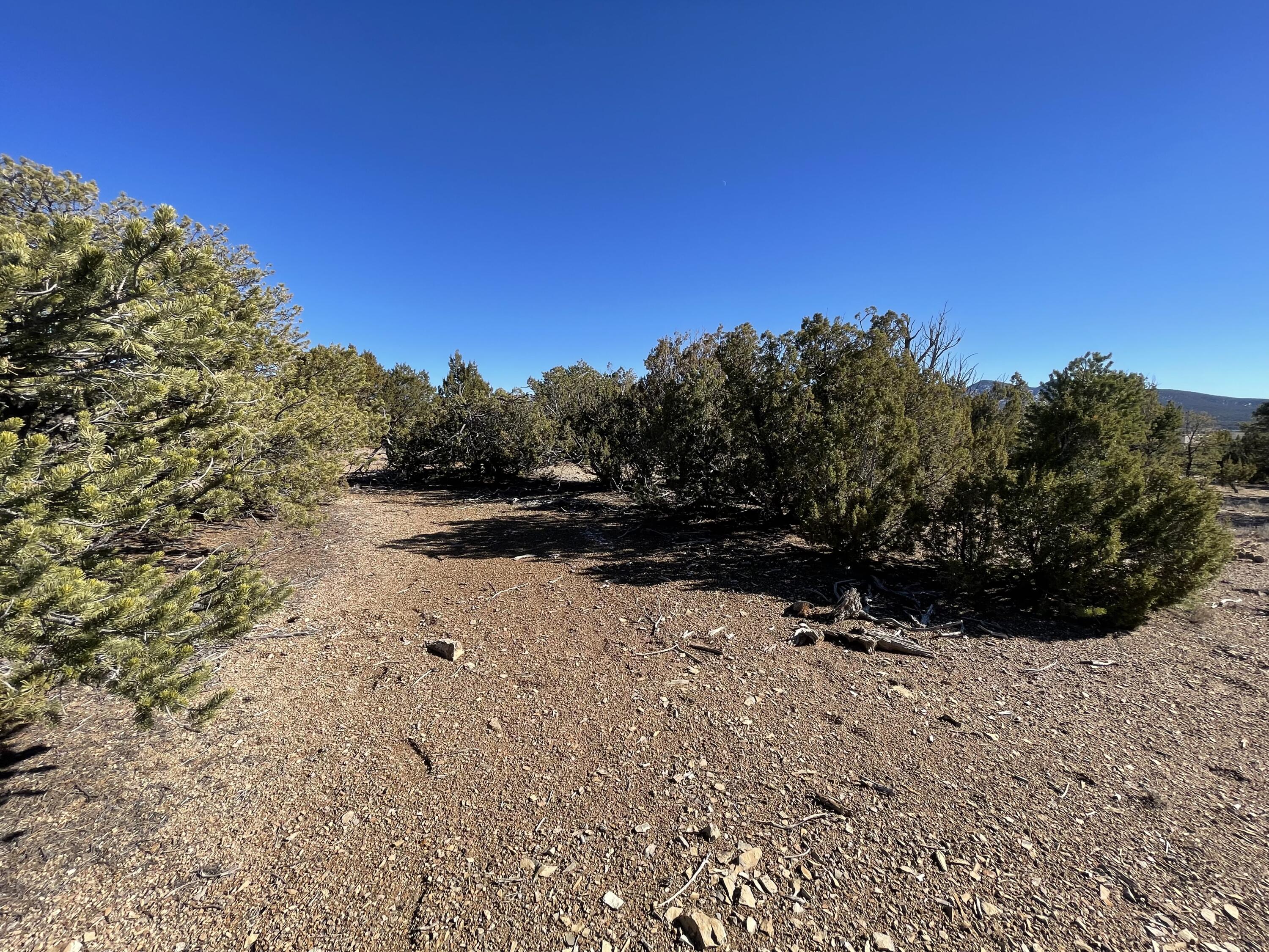 71 Raindance Road, Sandia Park, New Mexico image 6