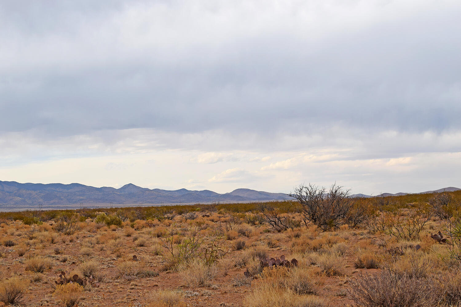 Lot 73 Bosque Trail, San Antonio, New Mexico image 25