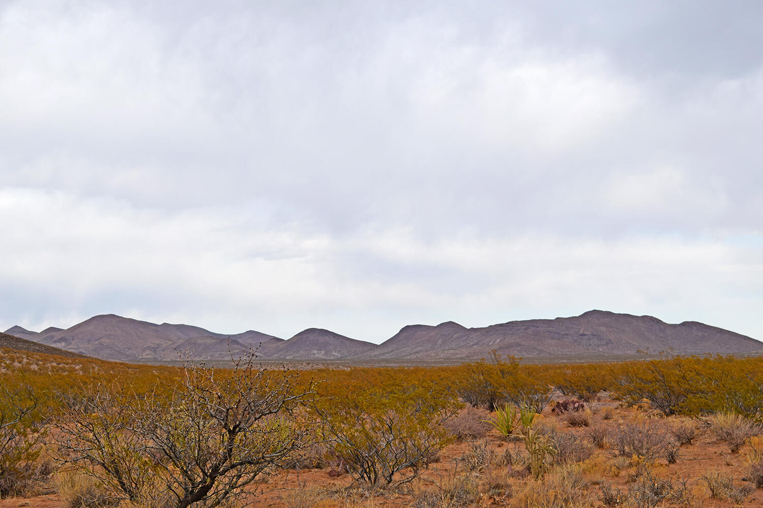 Lot 73 Bosque Trail, San Antonio, New Mexico image 23