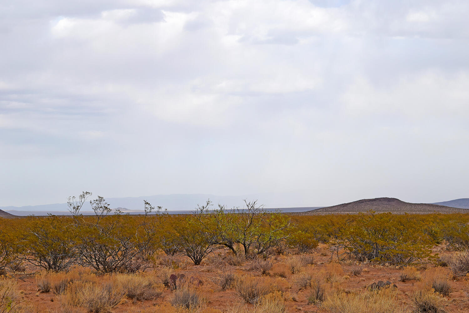 Lot 73 Bosque Trail, San Antonio, New Mexico image 21