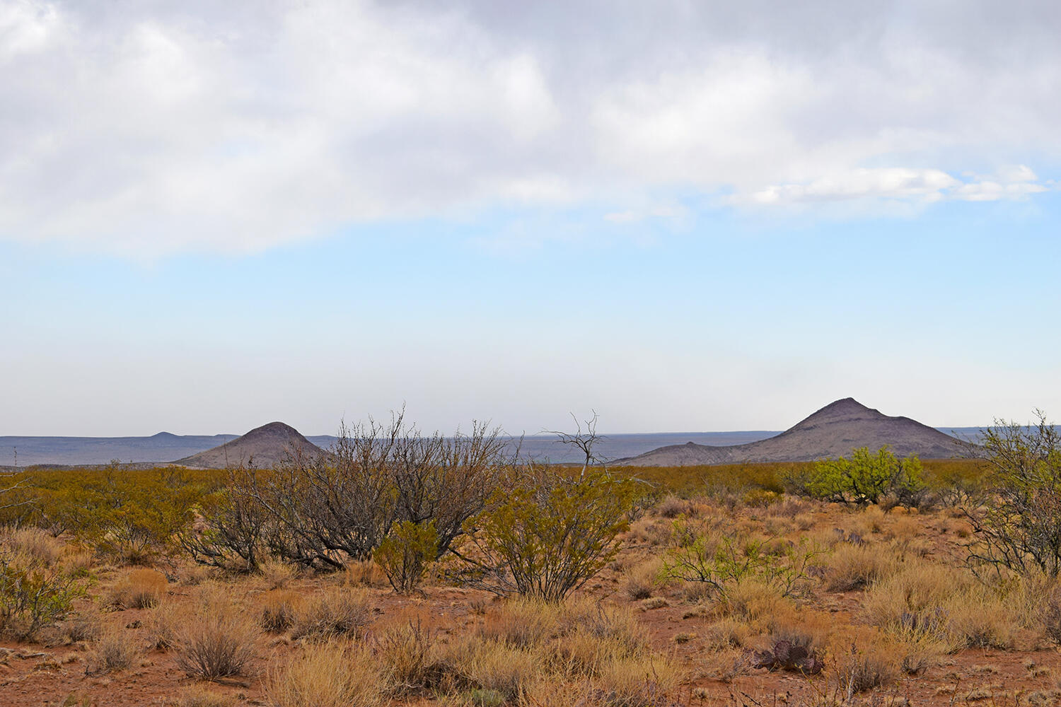 Lot 73 Bosque Trail, San Antonio, New Mexico image 34