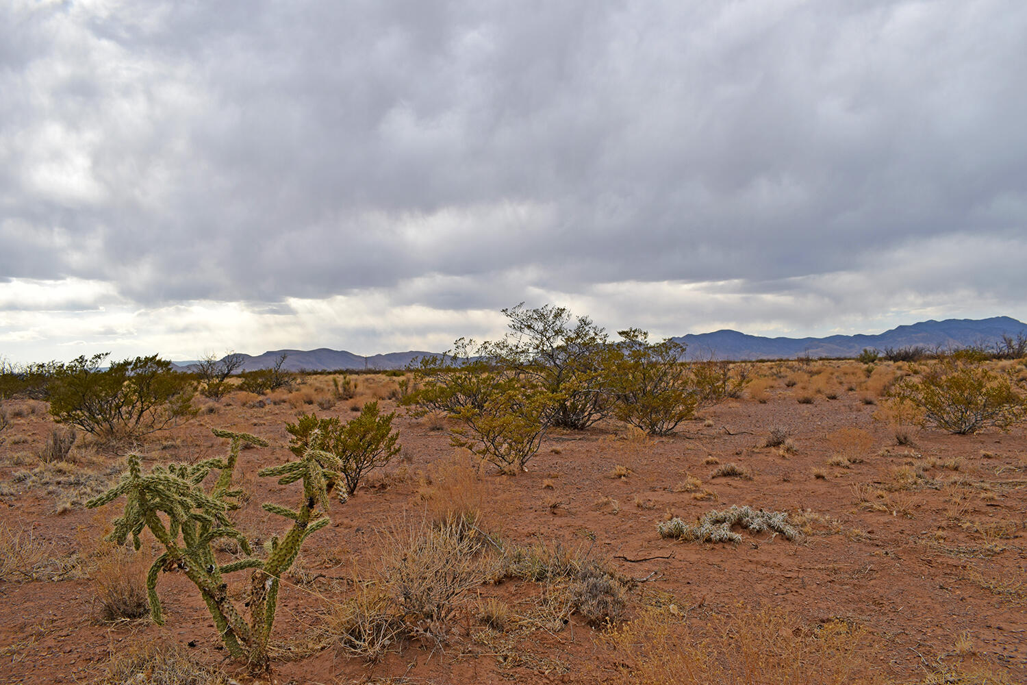 Lot 73 Bosque Trail, San Antonio, New Mexico image 38