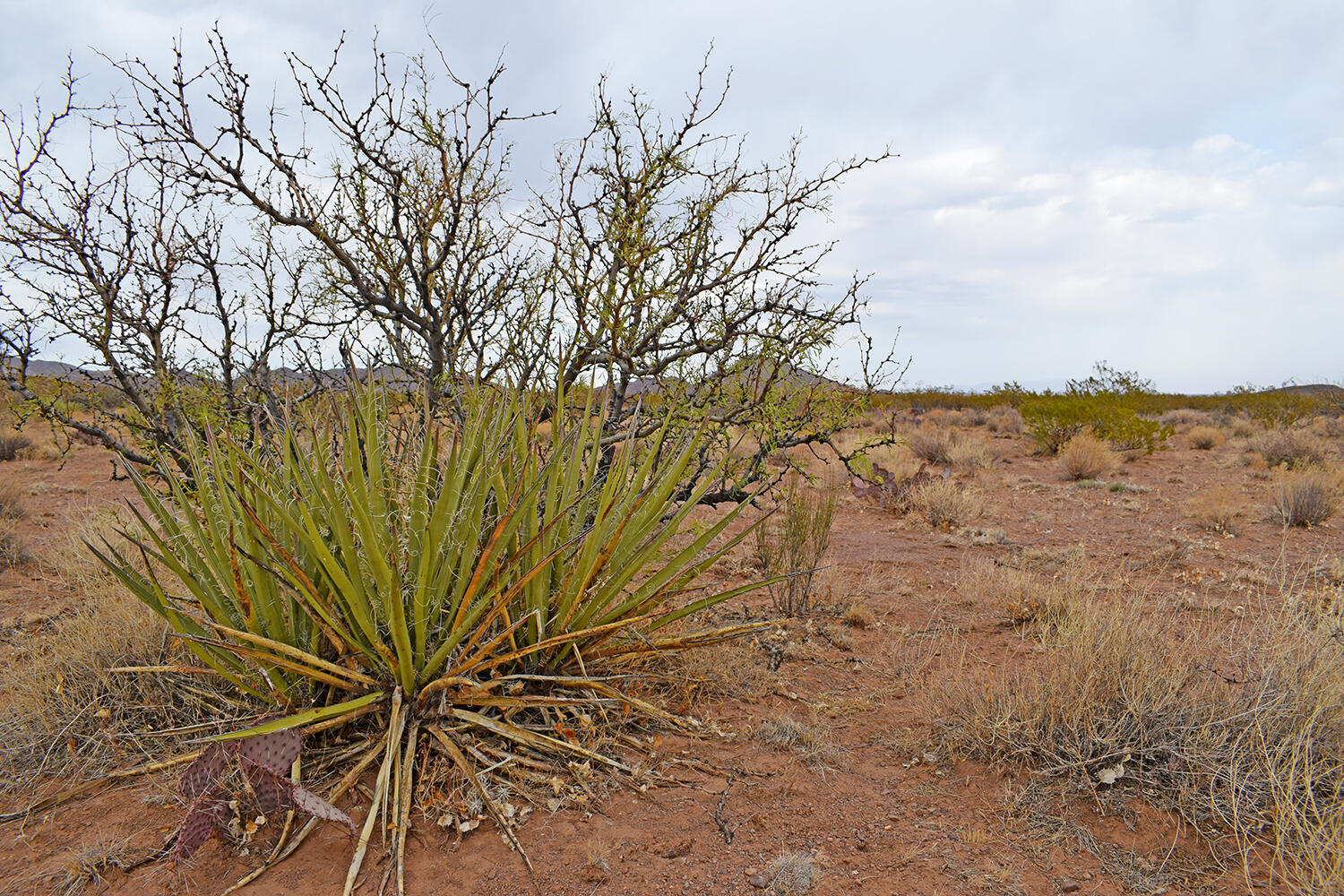 Lot 73 Bosque Trail, San Antonio, New Mexico image 35