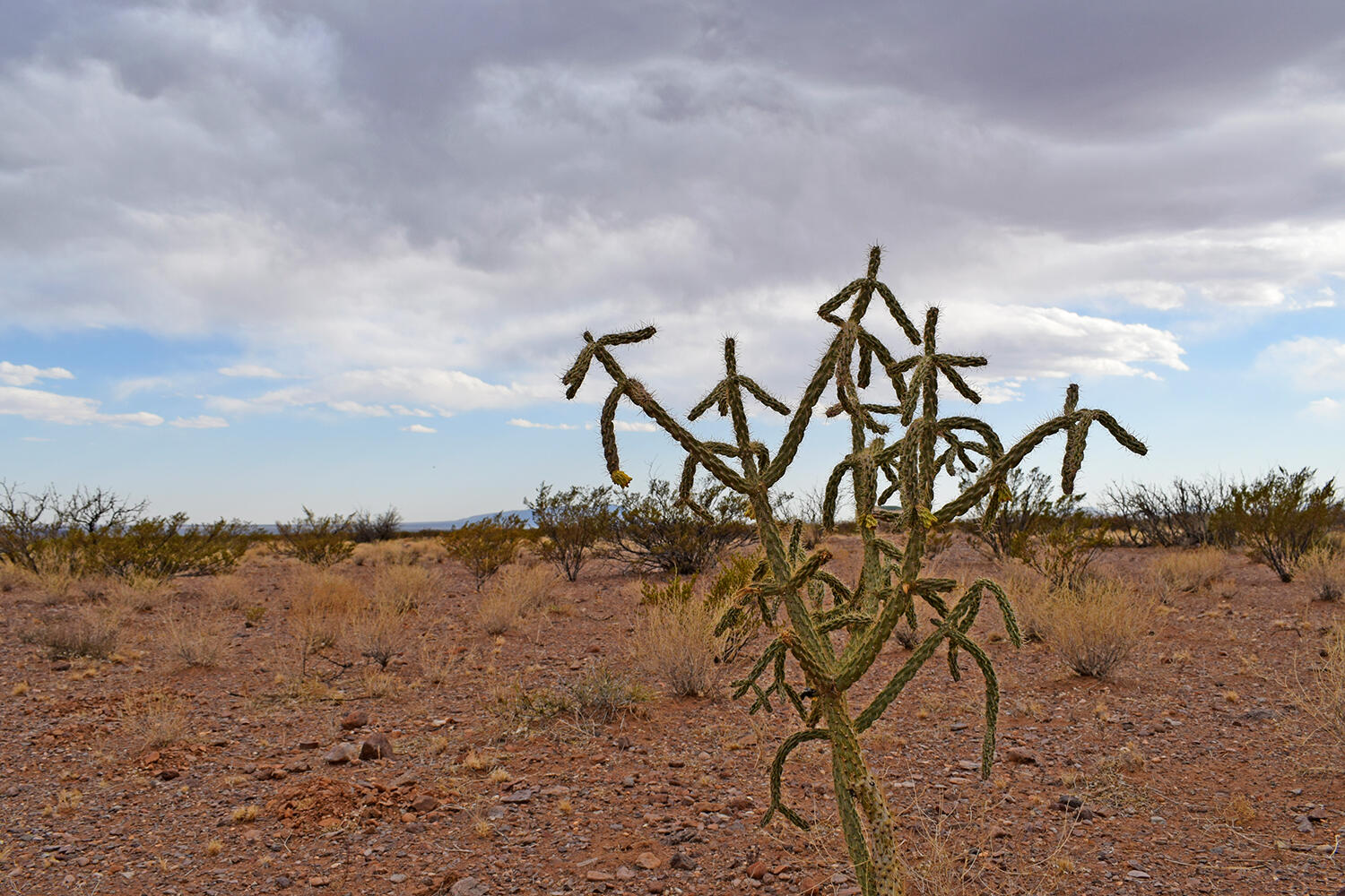 Lot 73 Bosque Trail, San Antonio, New Mexico image 42