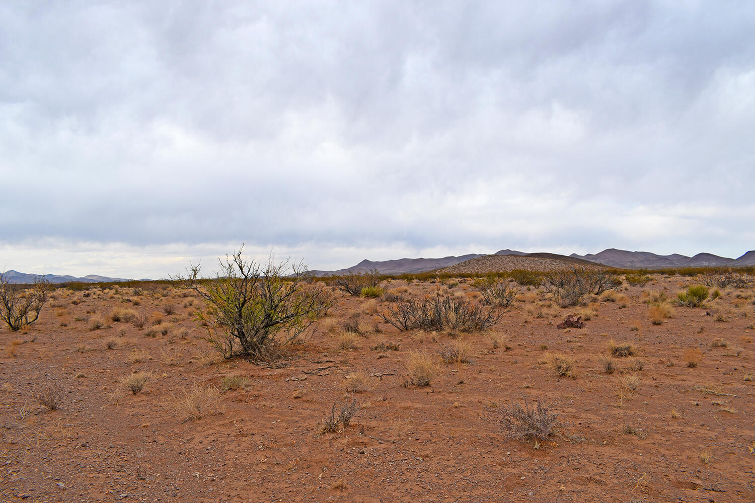 Lot 73 Bosque Trail, San Antonio, New Mexico image 8