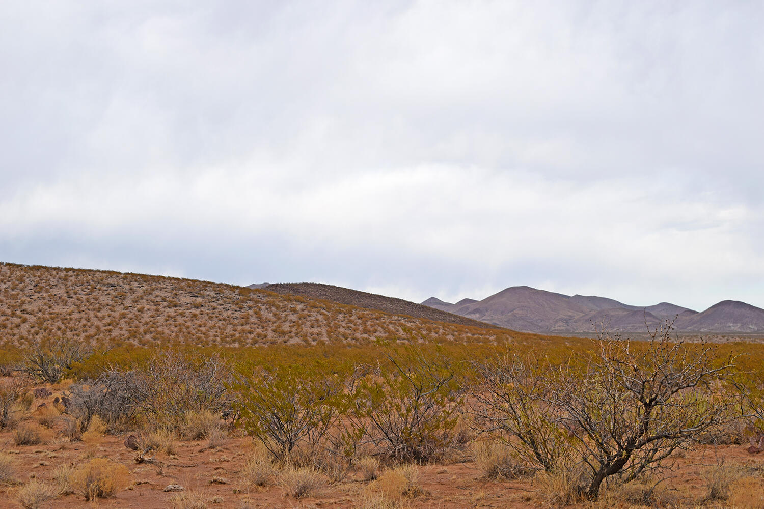 Lot 73 Bosque Trail, San Antonio, New Mexico image 24