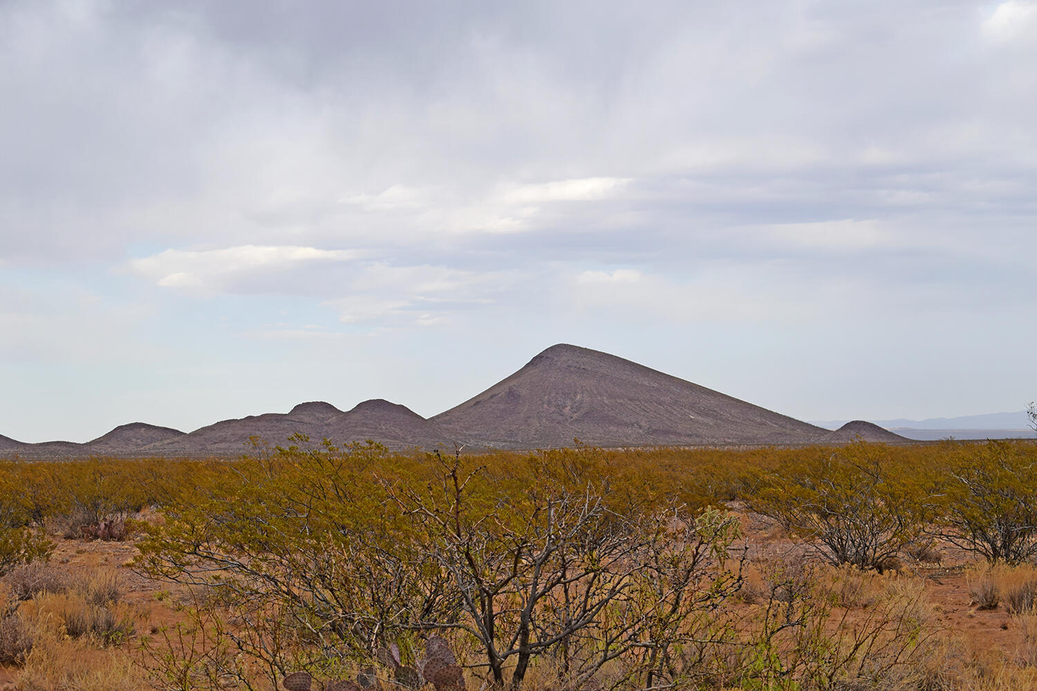 Lot 73 Bosque Trail, San Antonio, New Mexico image 22