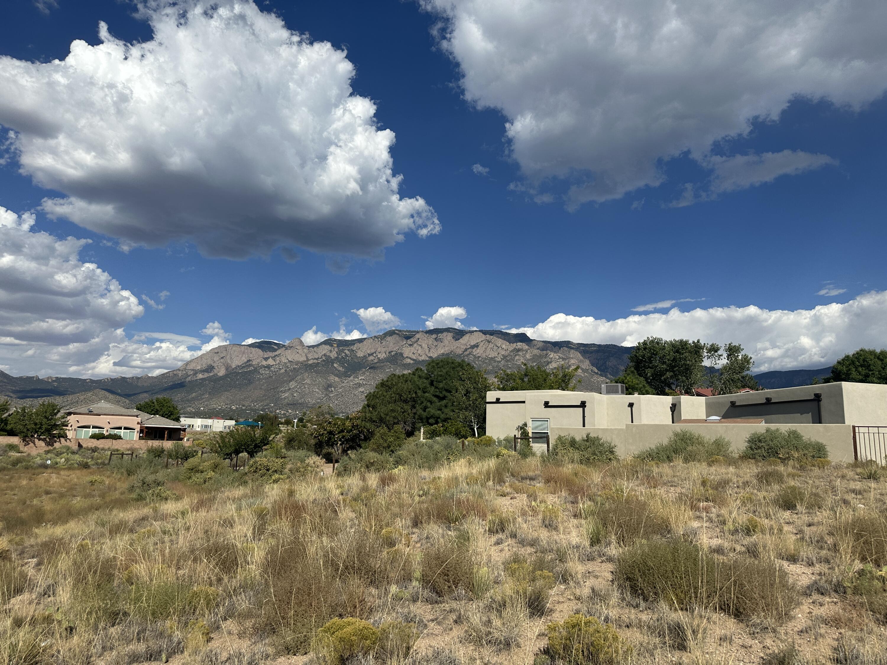 San Bernardino Avenue, Albuquerque, New Mexico image 6