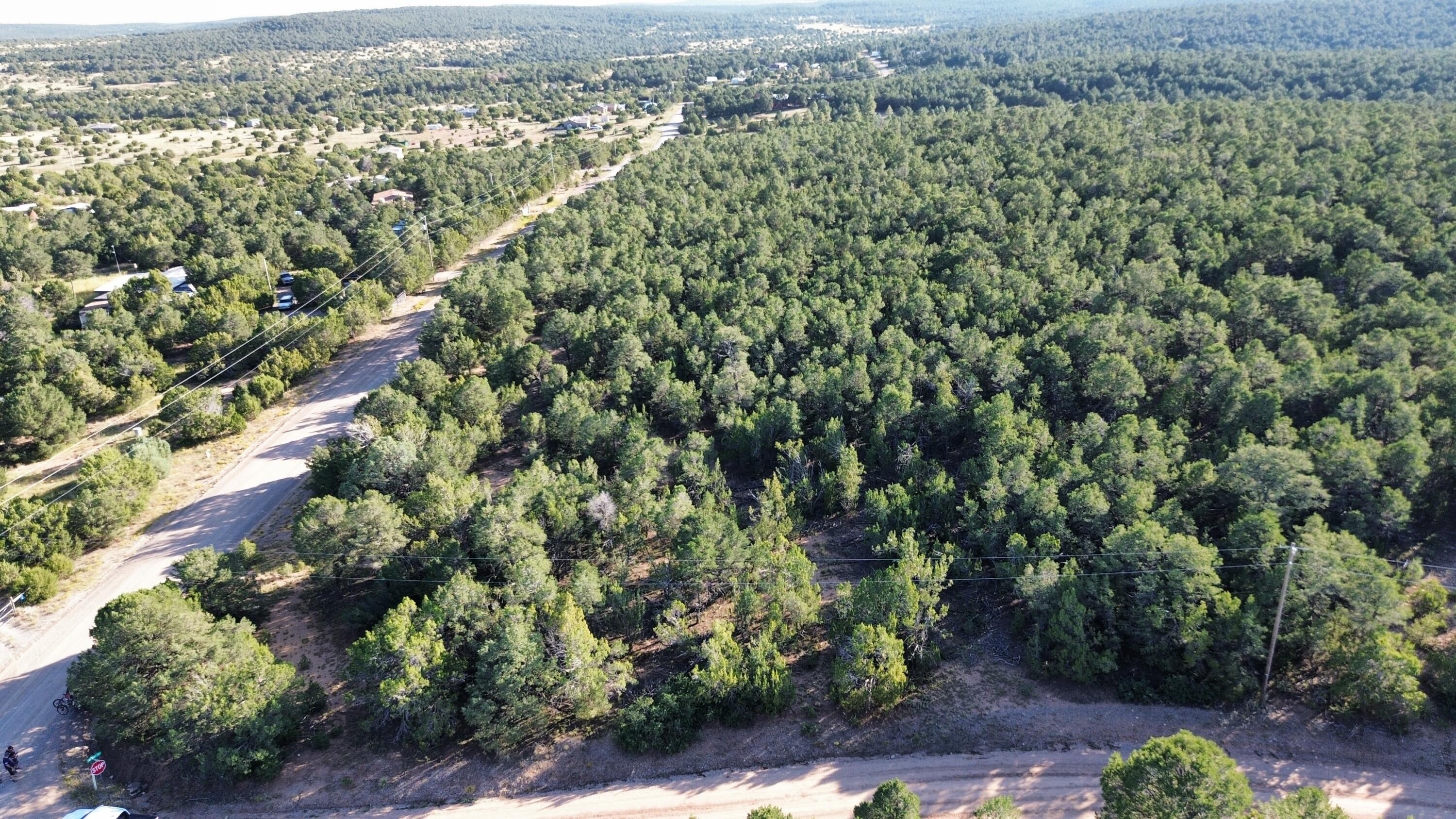 12 Belle Starr Road, Edgewood, New Mexico image 2