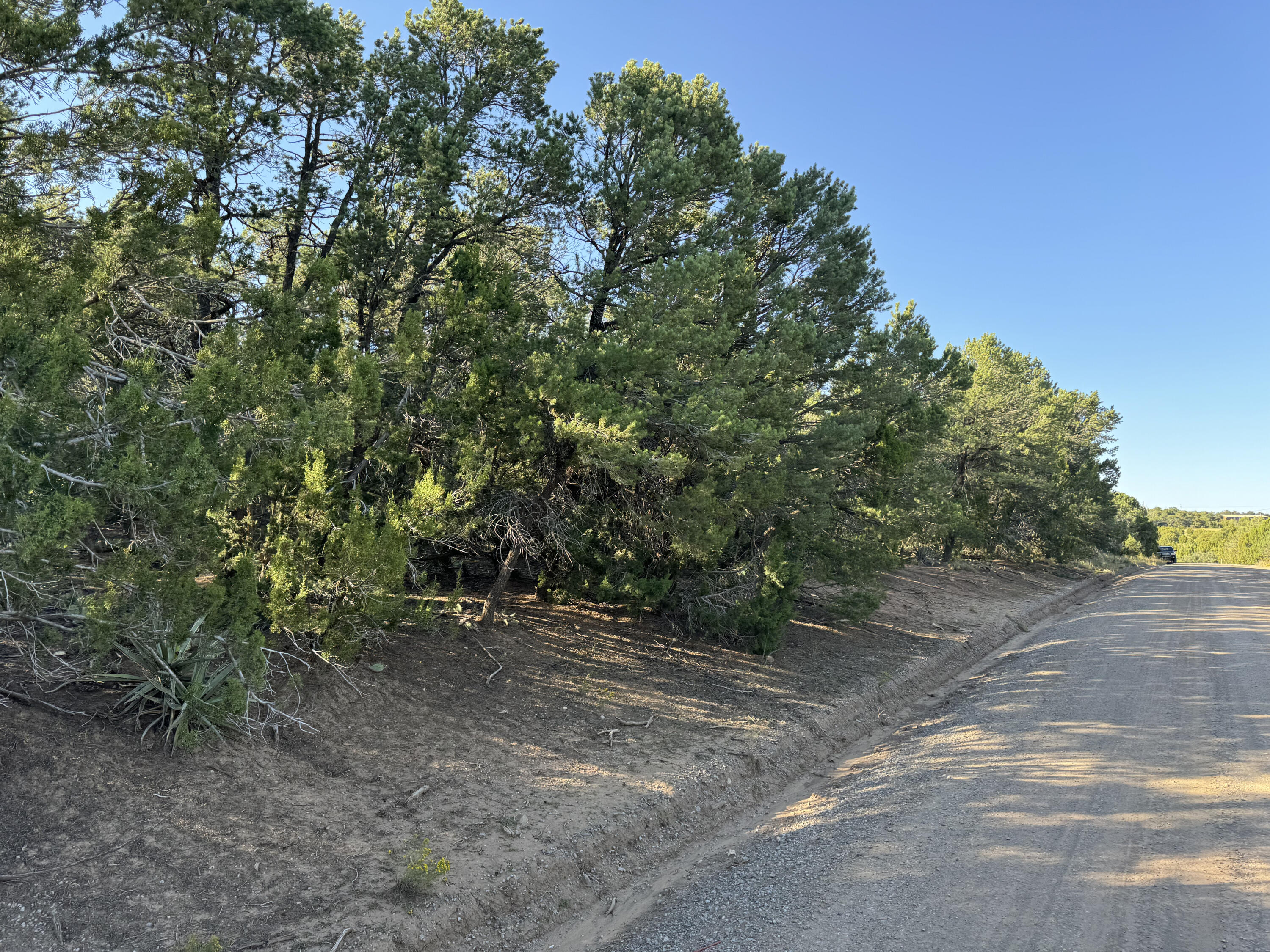 12 Belle Starr Road, Edgewood, New Mexico image 35