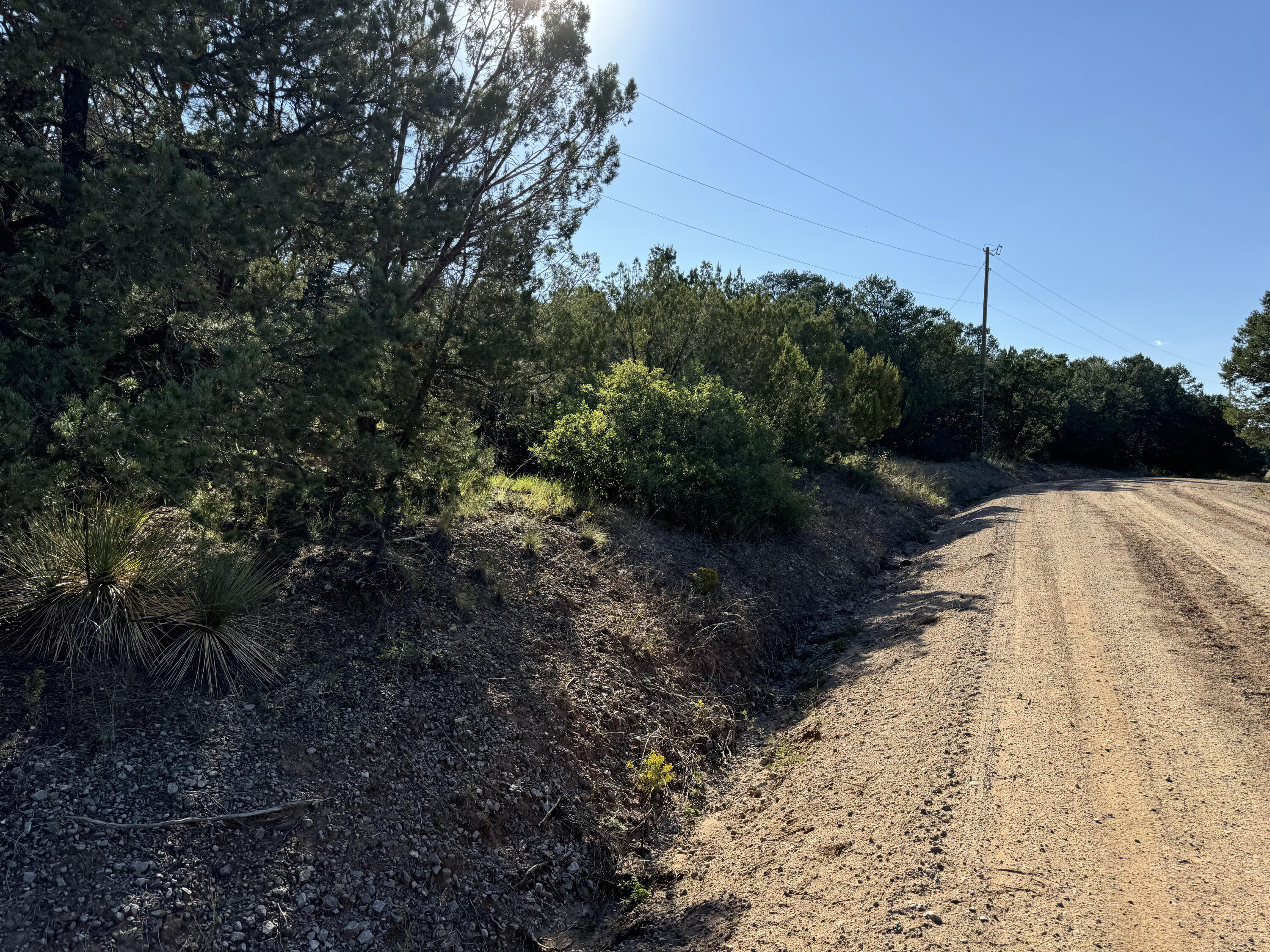 12 Belle Starr Road, Edgewood, New Mexico image 11