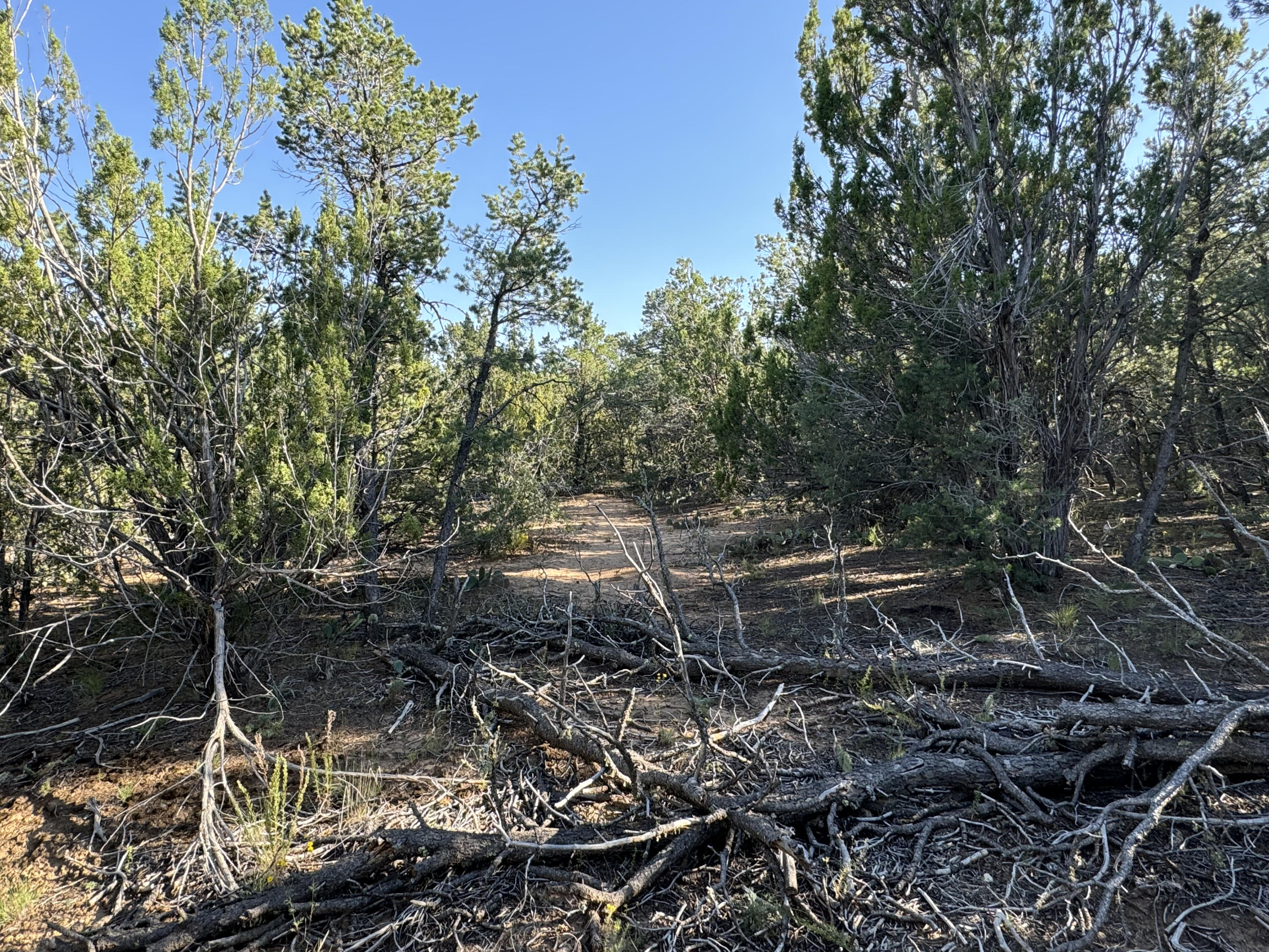 12 Belle Starr Road, Edgewood, New Mexico image 15