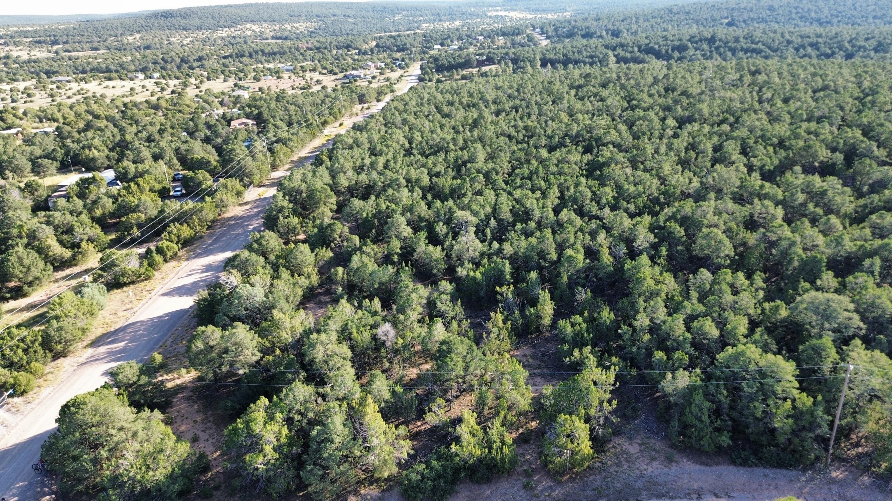 12 Belle Starr Road, Edgewood, New Mexico image 19