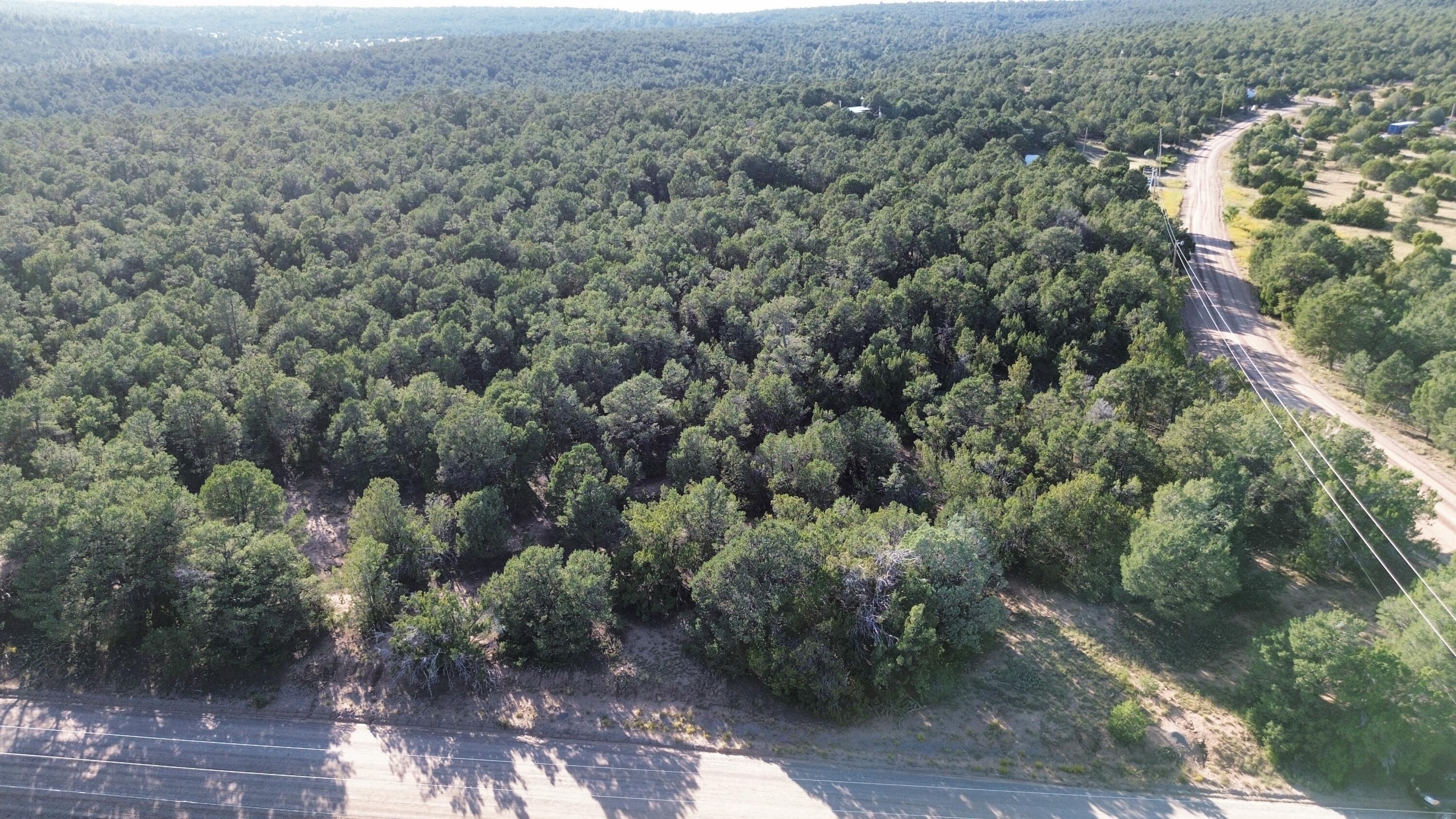 12 Belle Starr Road, Edgewood, New Mexico image 4