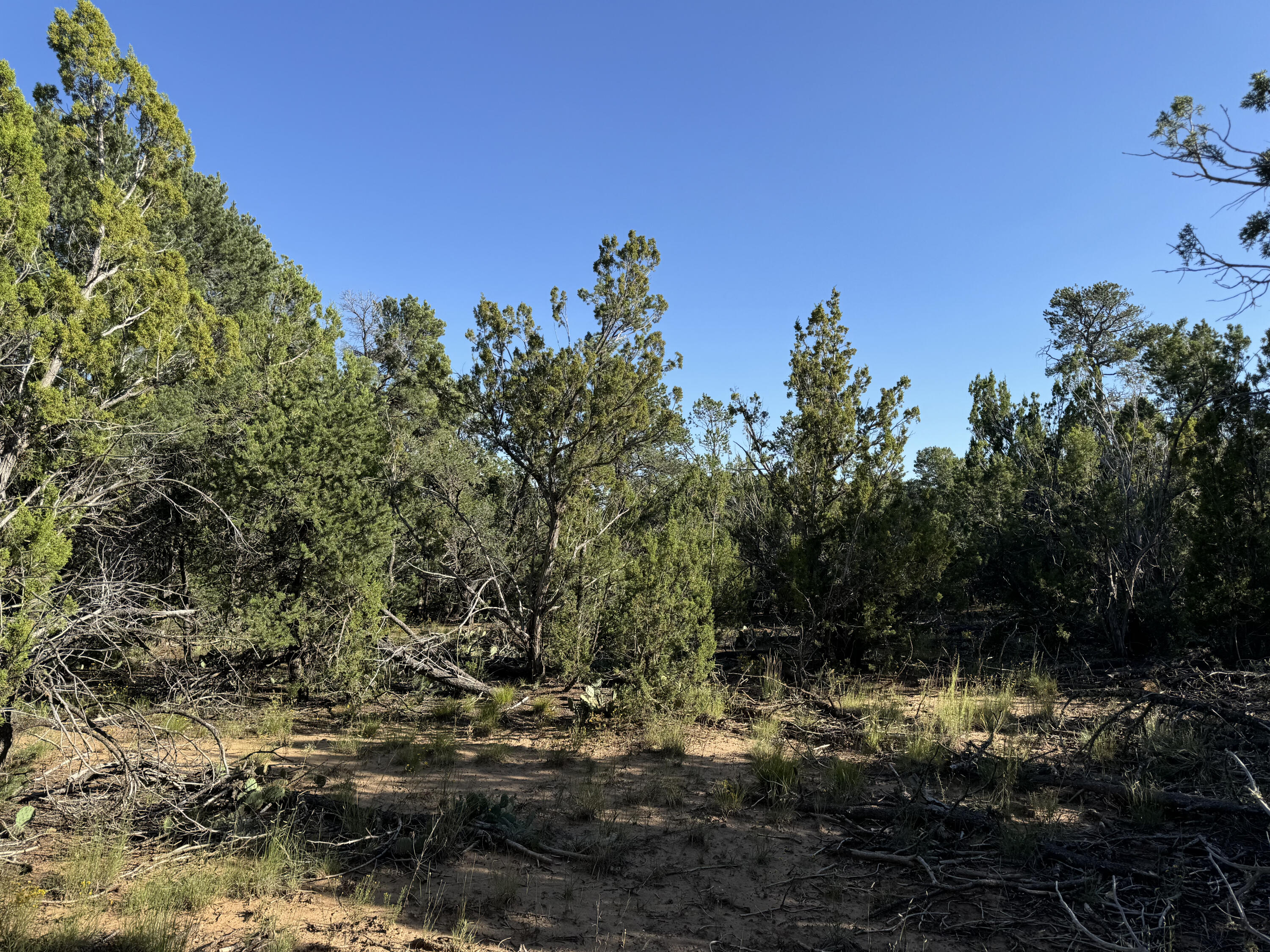 12 Belle Starr Road, Edgewood, New Mexico image 16