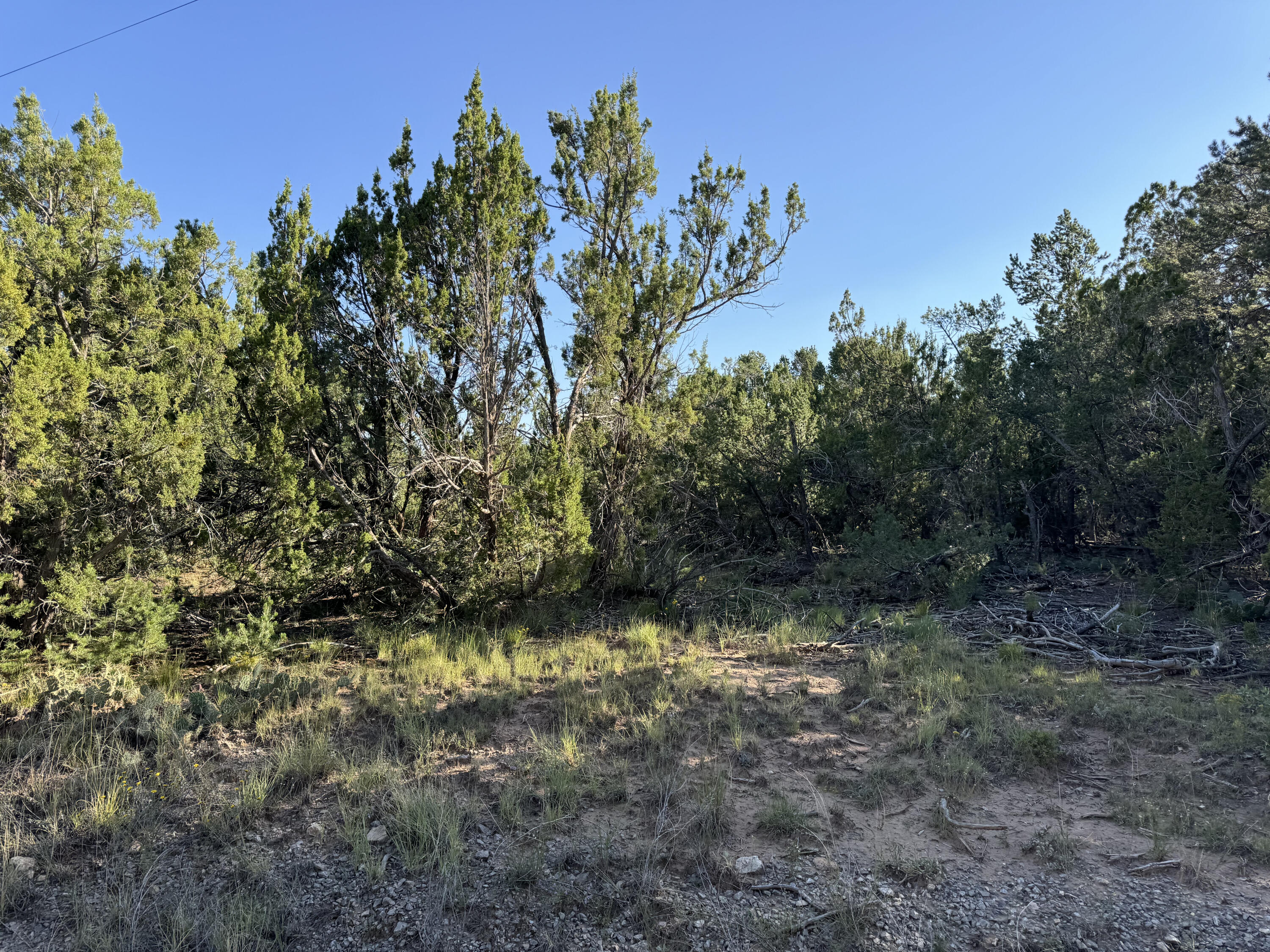 12 Belle Starr Road, Edgewood, New Mexico image 9