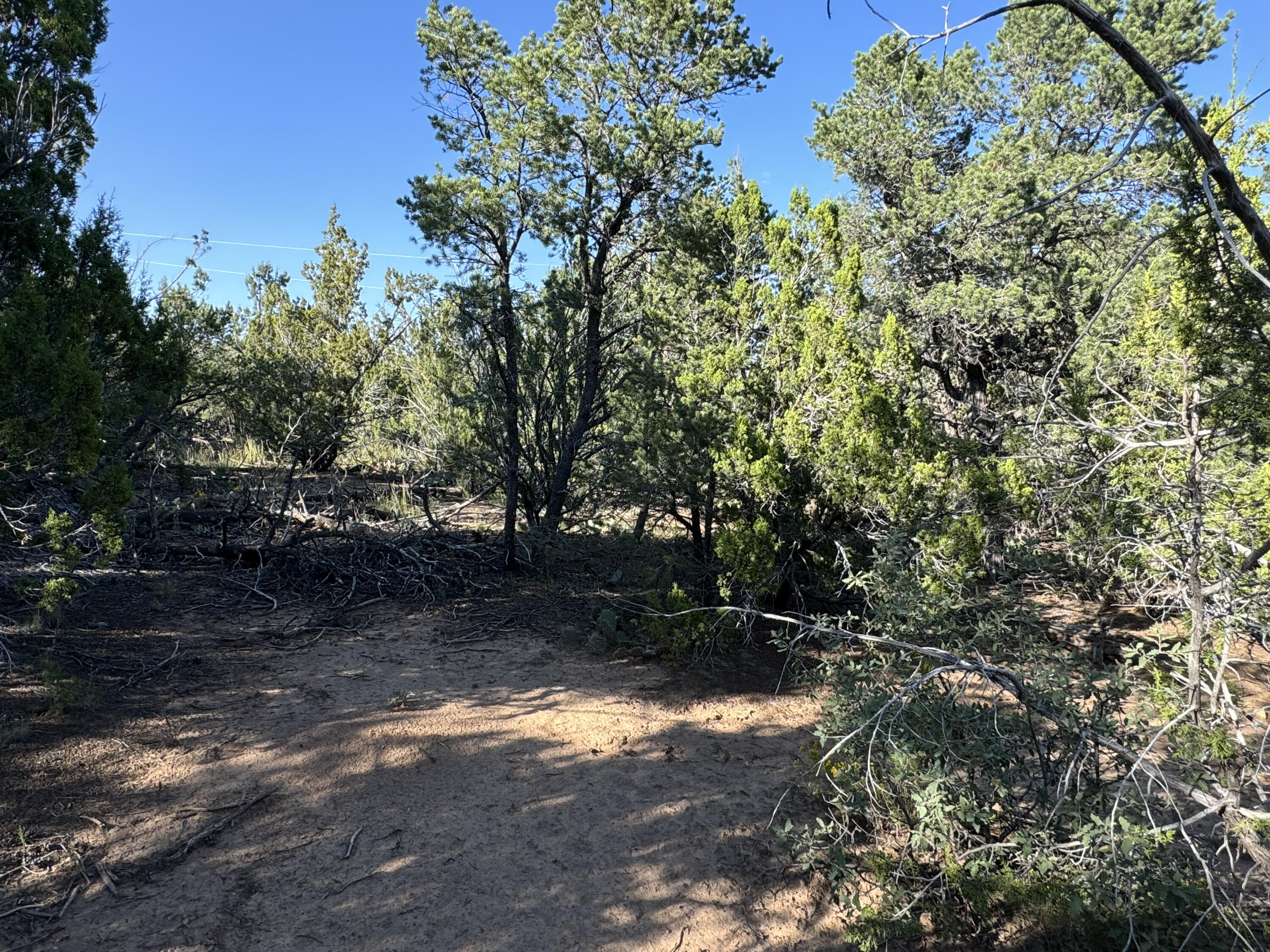 12 Belle Starr Road, Edgewood, New Mexico image 26