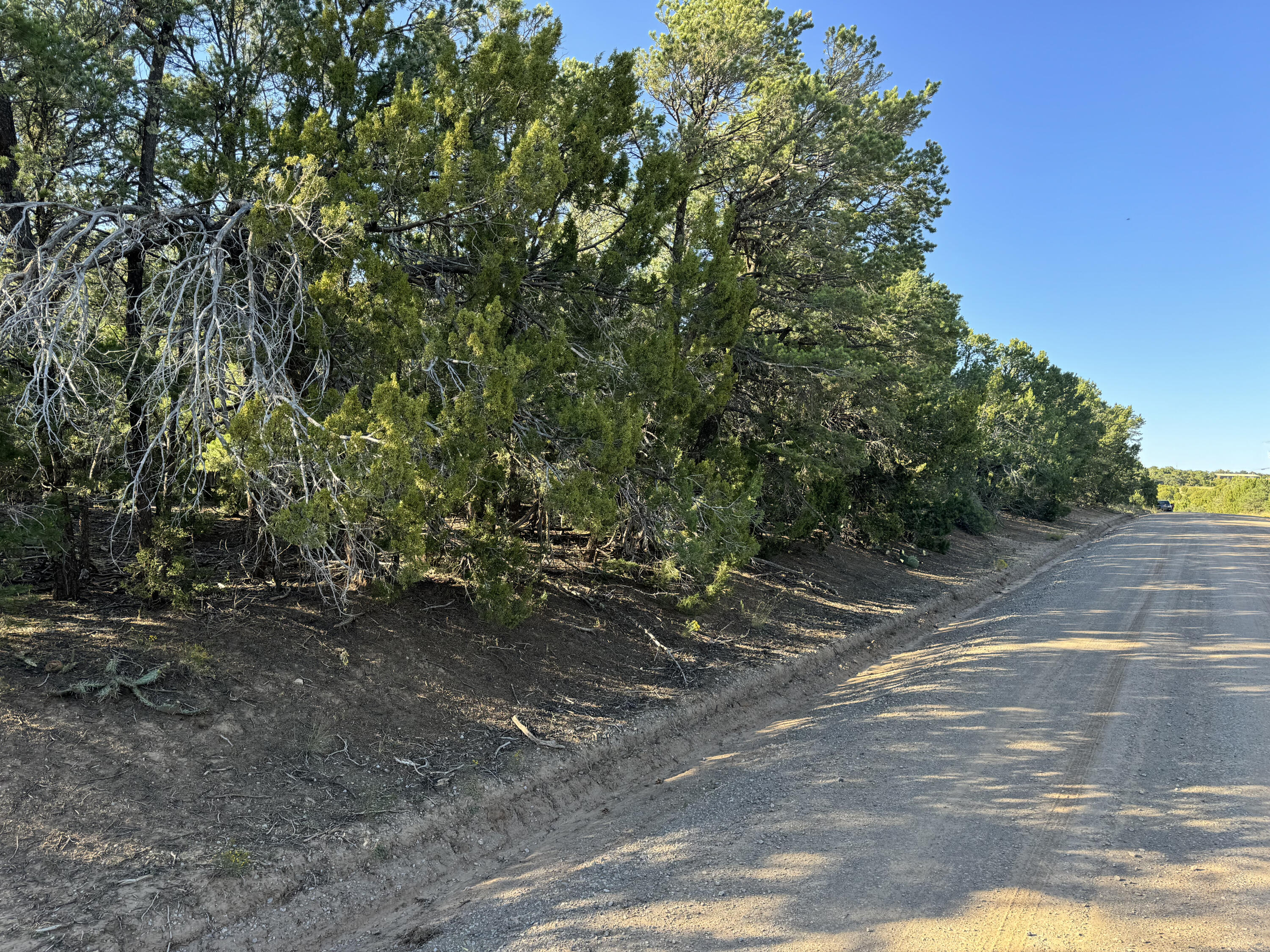 12 Belle Starr Road, Edgewood, New Mexico image 33