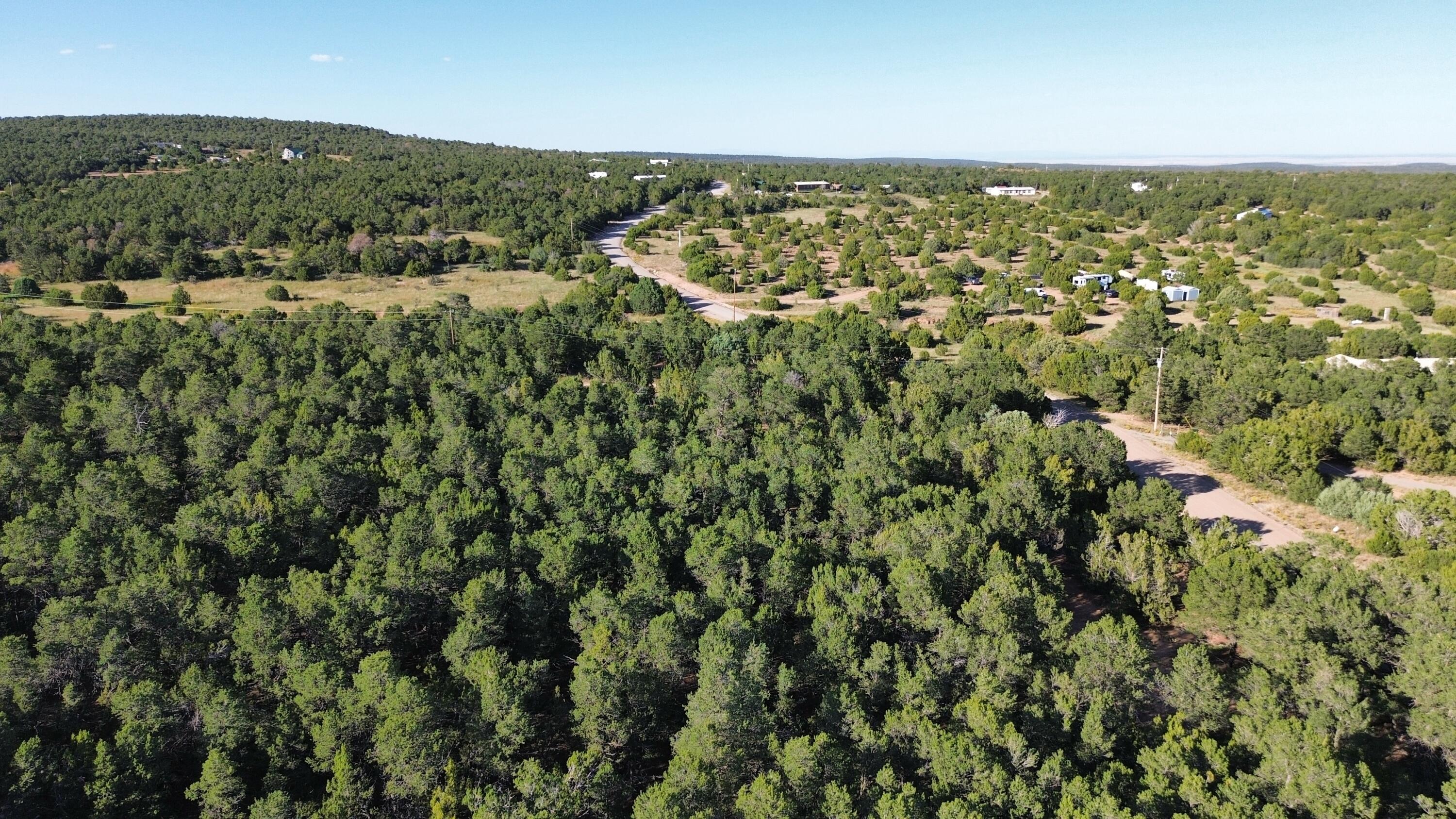 12 Belle Starr Road, Edgewood, New Mexico image 5