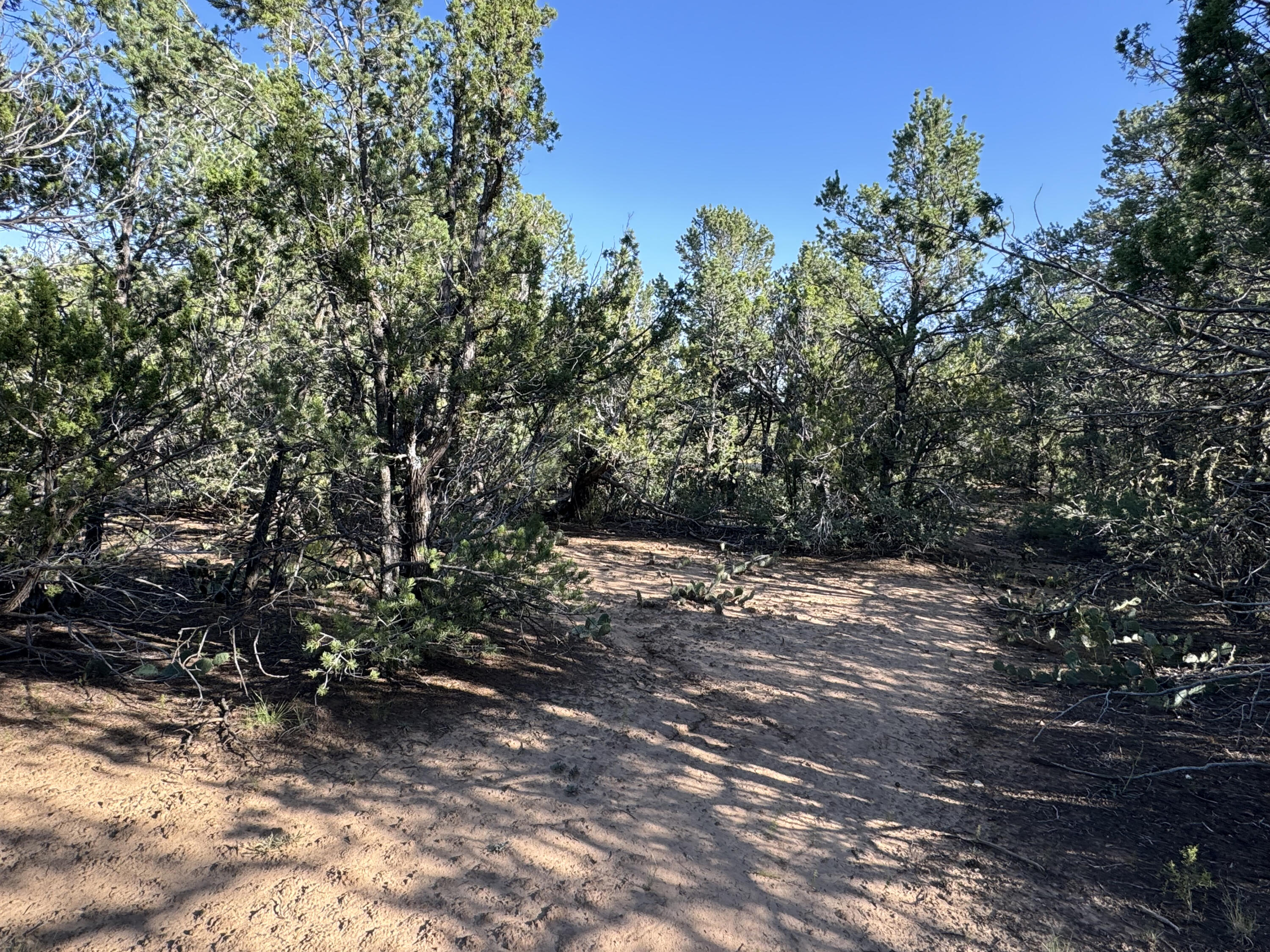 12 Belle Starr Road, Edgewood, New Mexico image 25