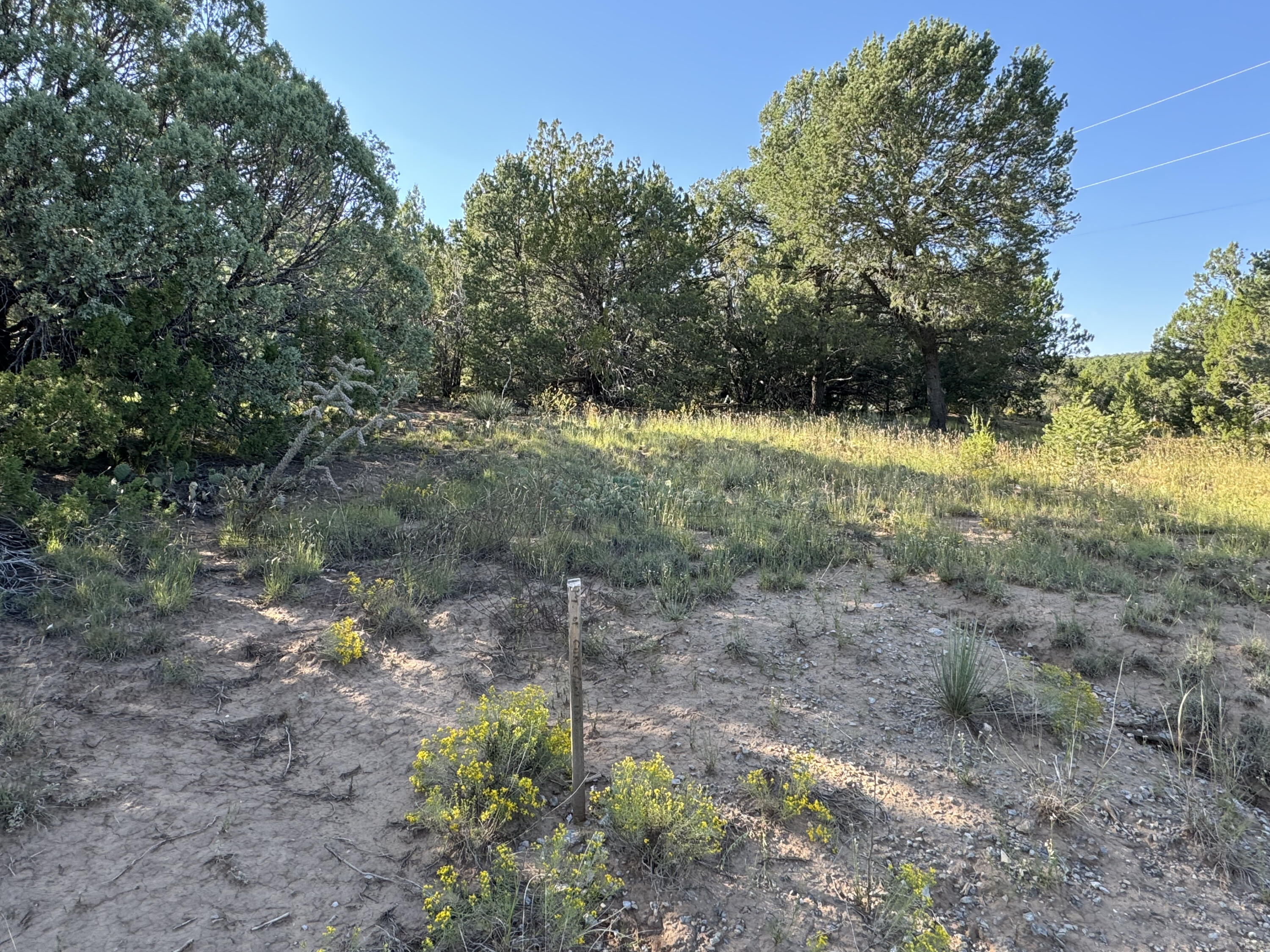 12 Belle Starr Road, Edgewood, New Mexico image 29