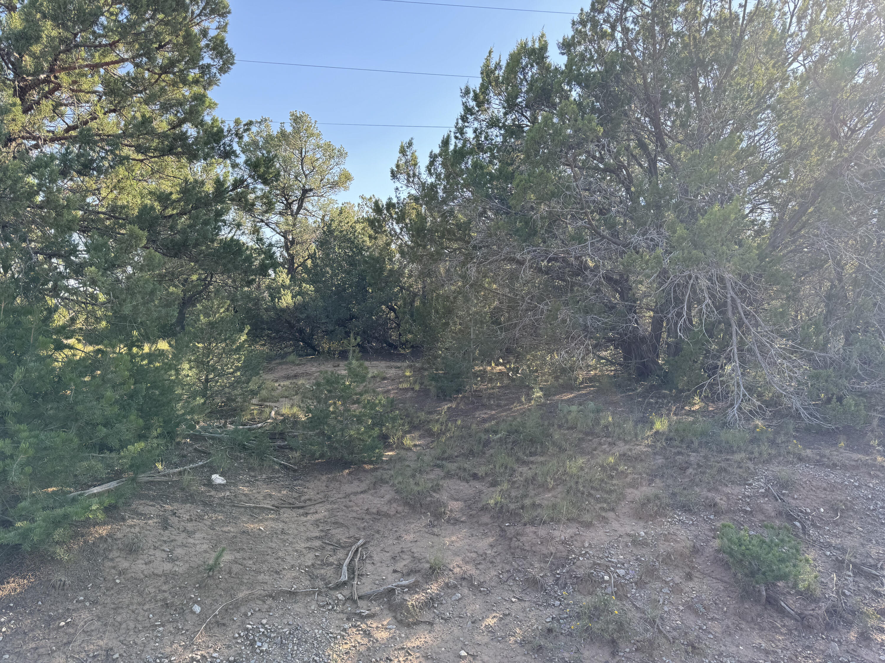 12 Belle Starr Road, Edgewood, New Mexico image 22