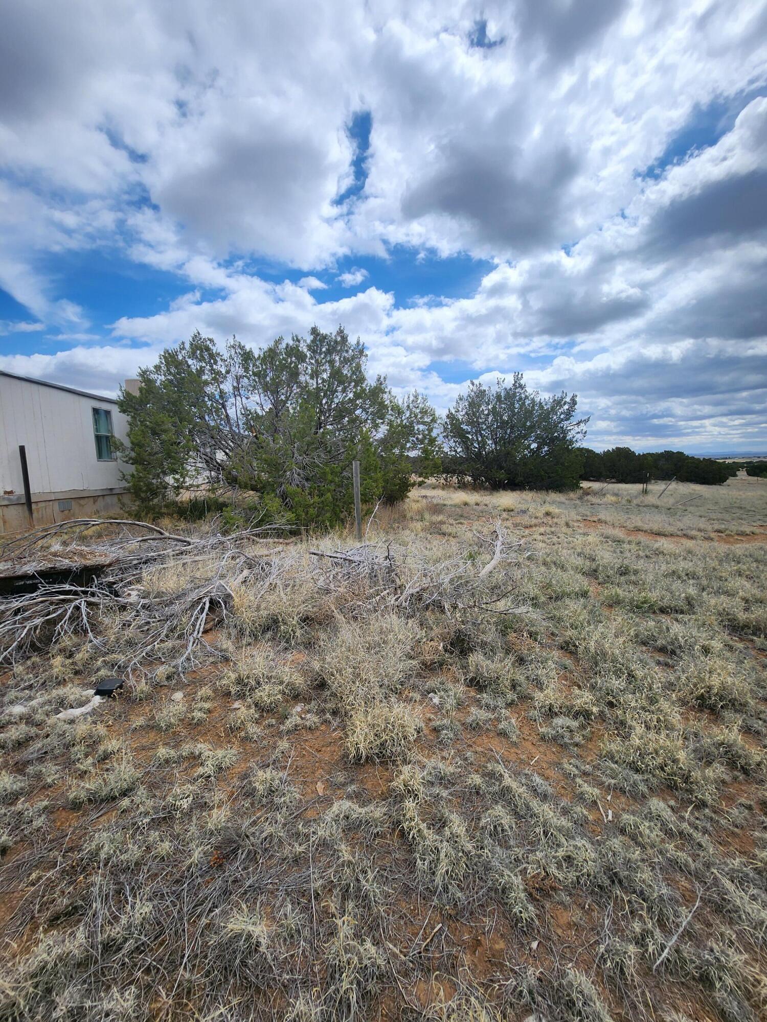 33 Brandy Court, Moriarty, New Mexico image 4