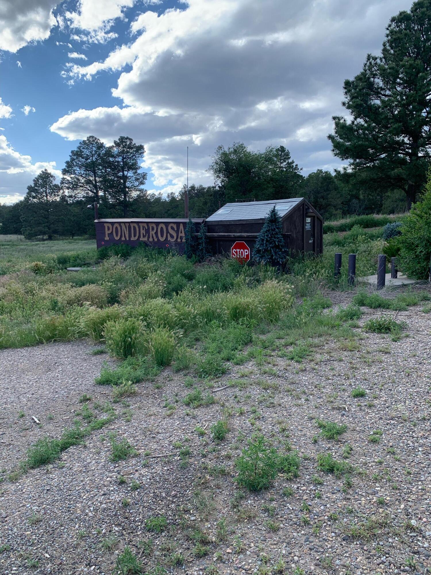 10676 Nm-337, Tijeras, New Mexico image 3